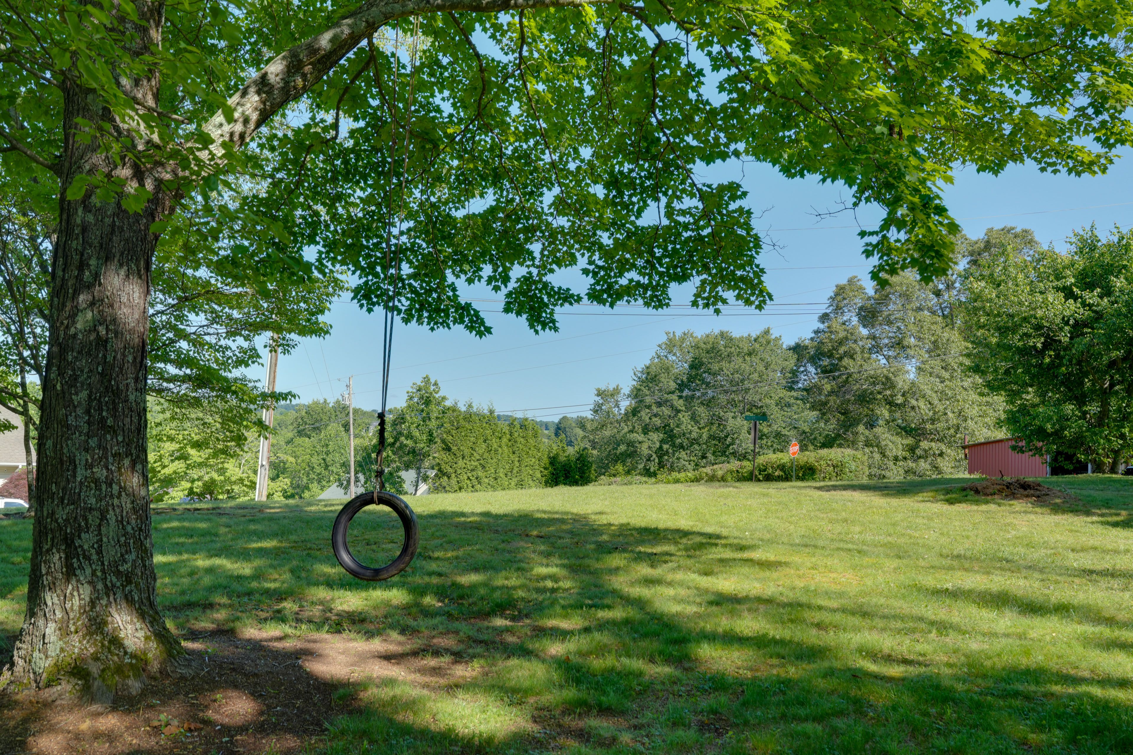 Spacious Yard