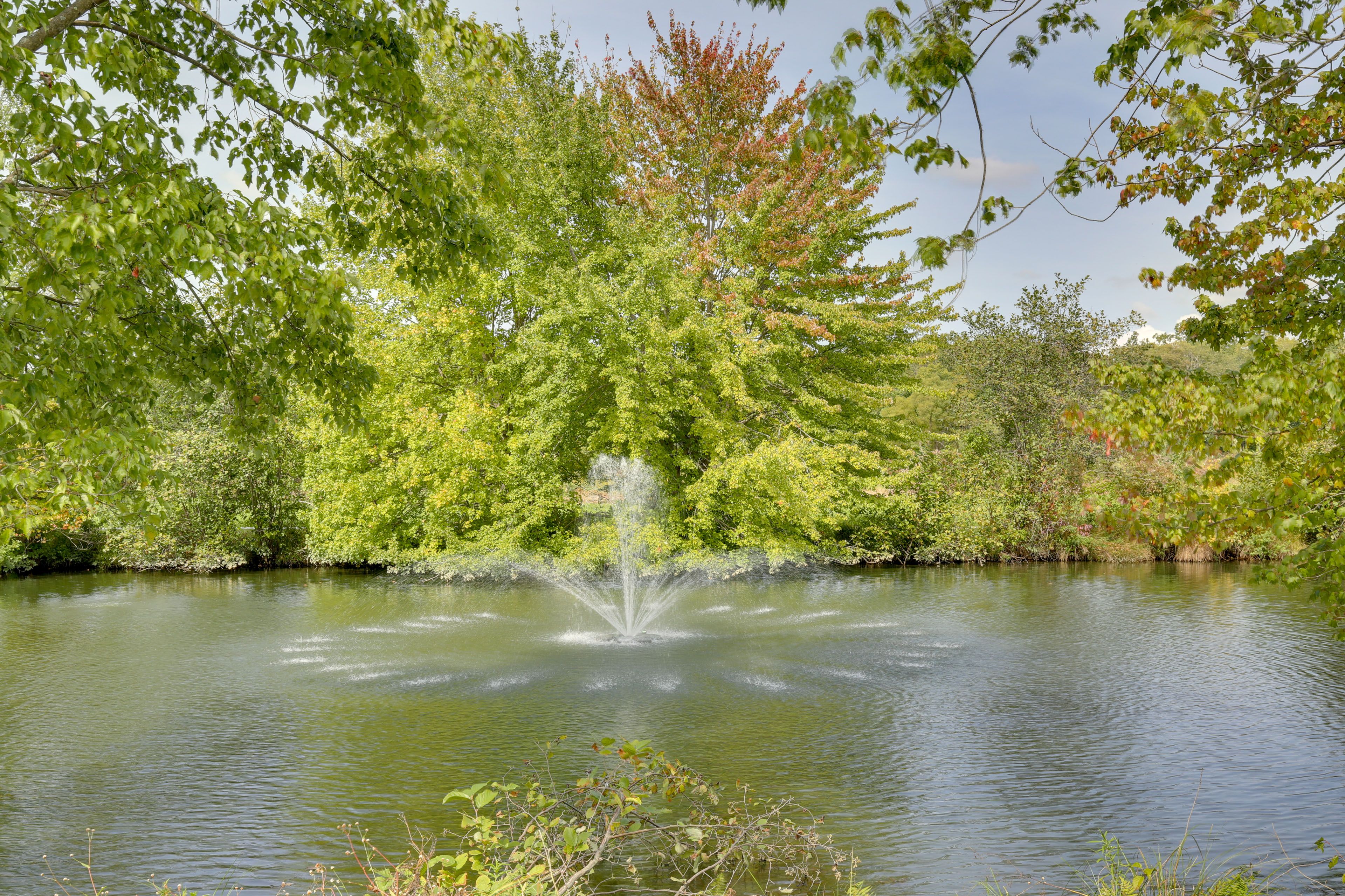 Image 29