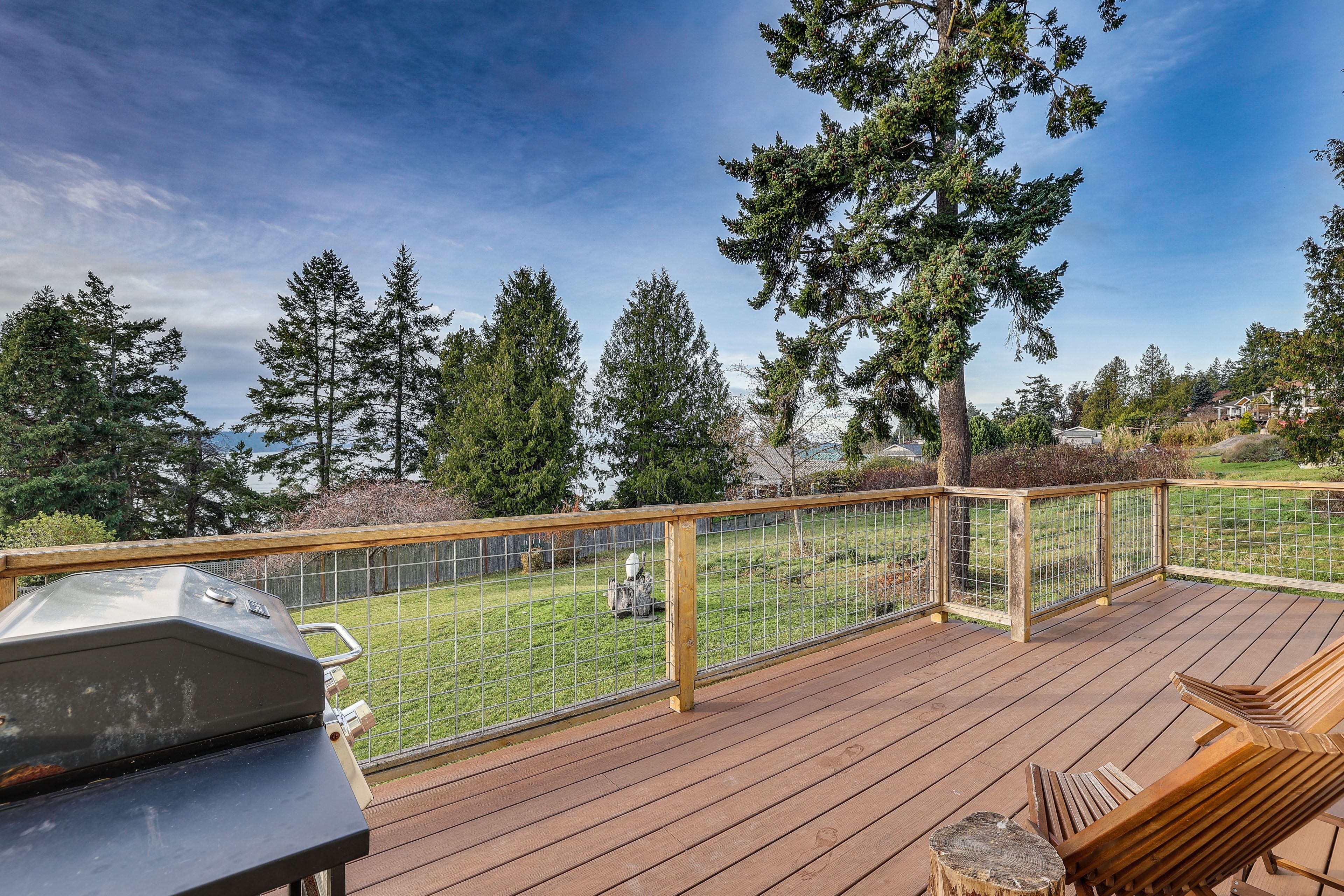 Deck | Gas Grill