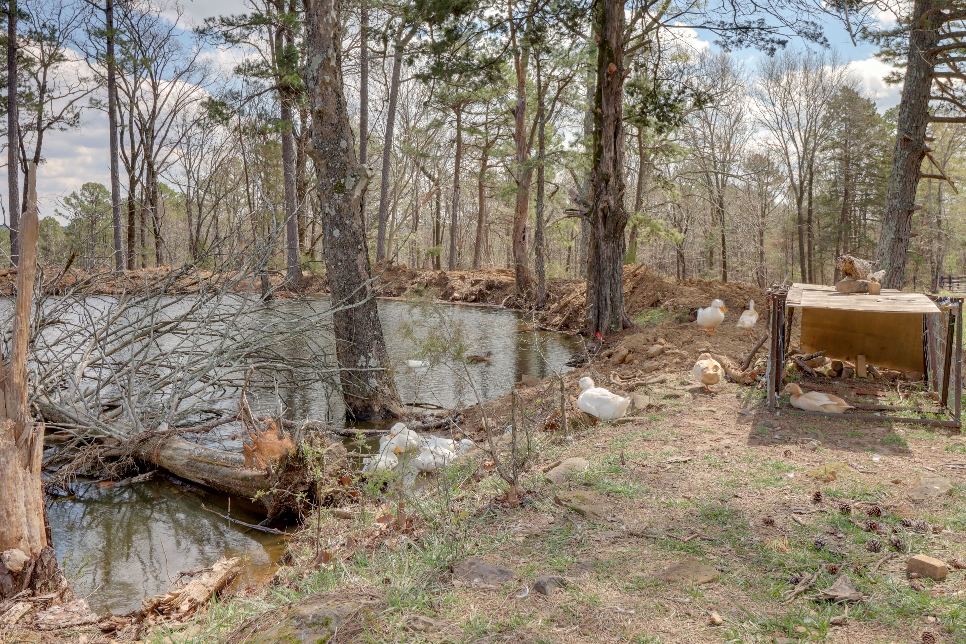 Private Lake | Fishing | Wildlife Viewing