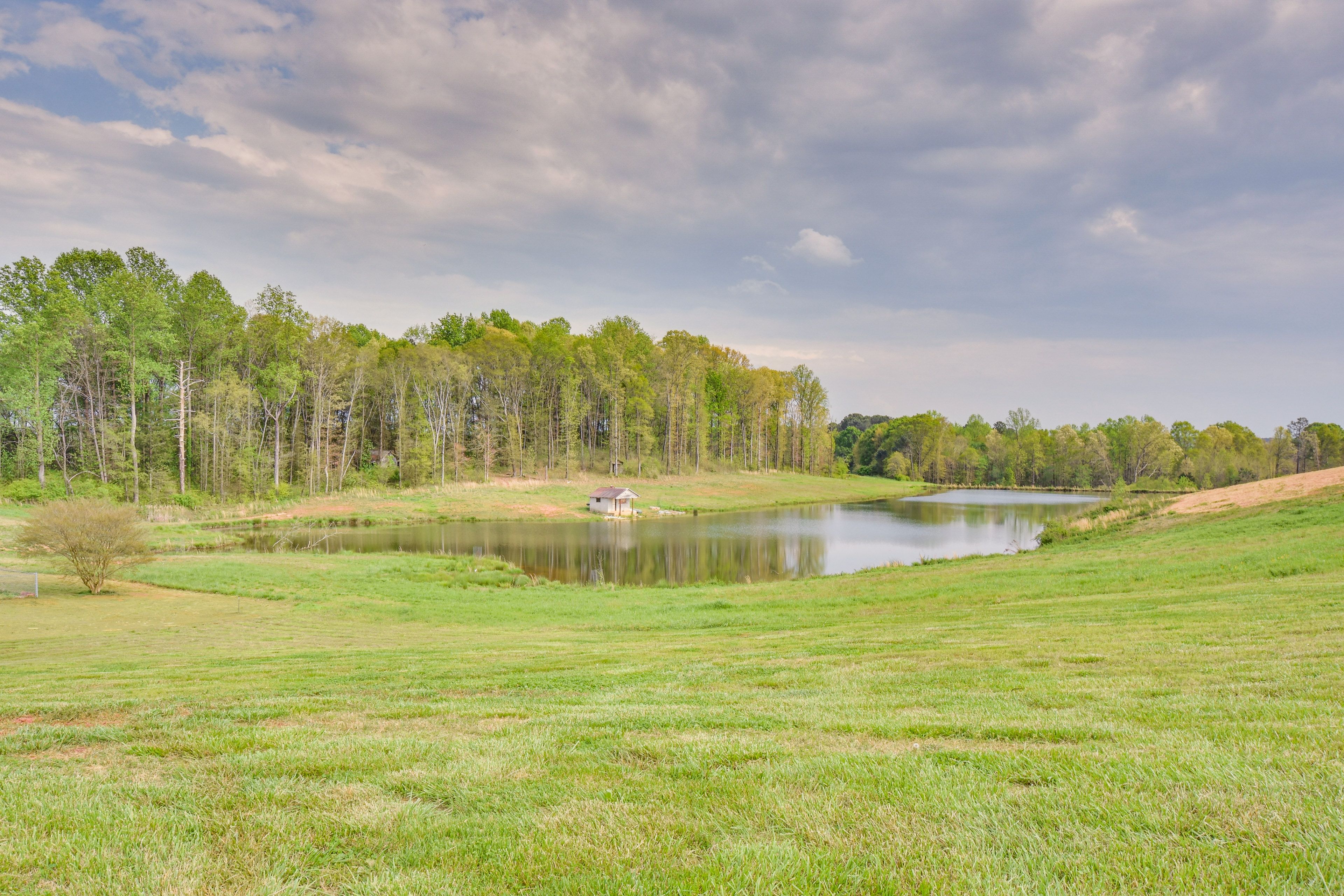 Pond Views