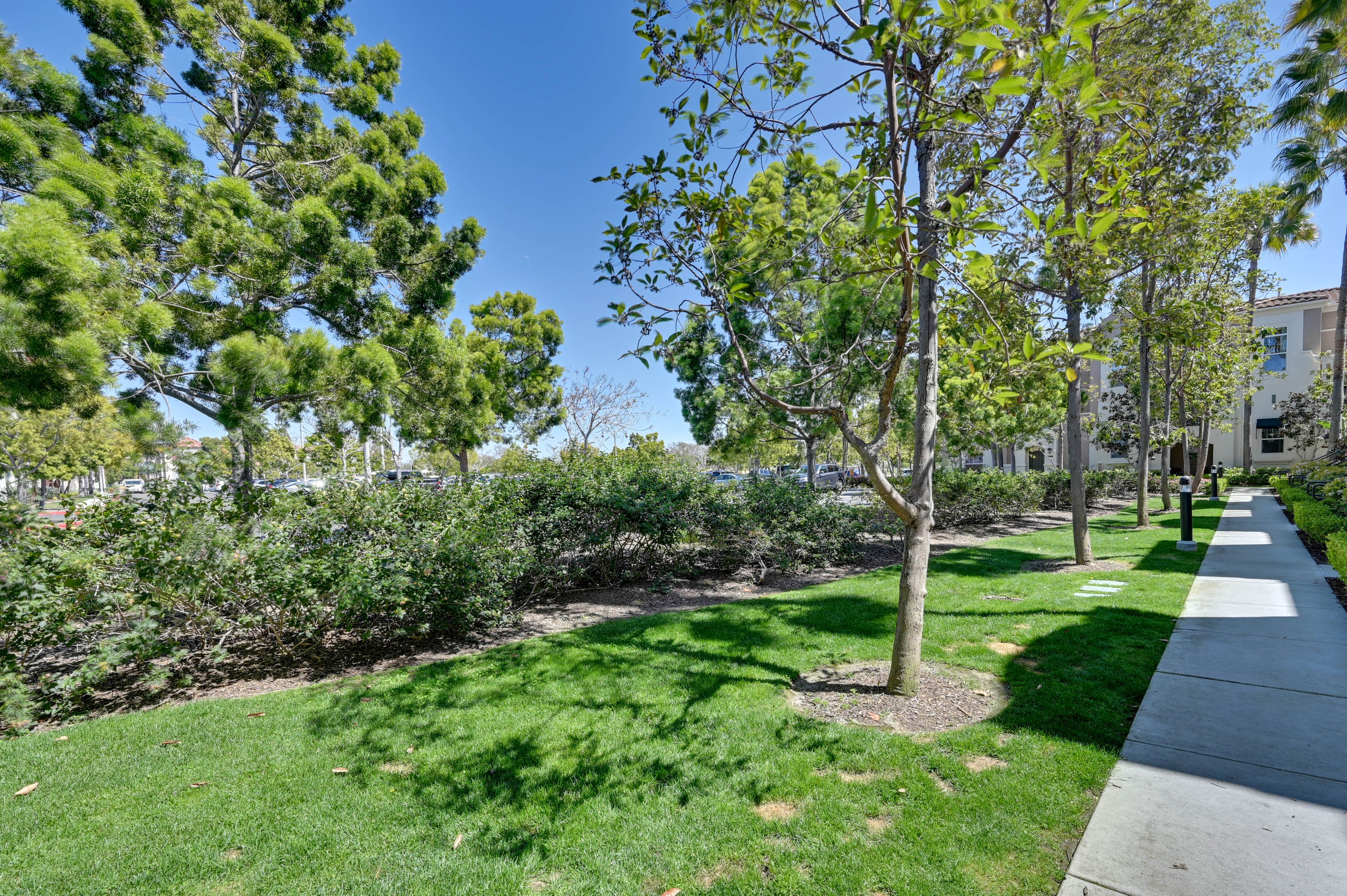 Surrounding Community Area