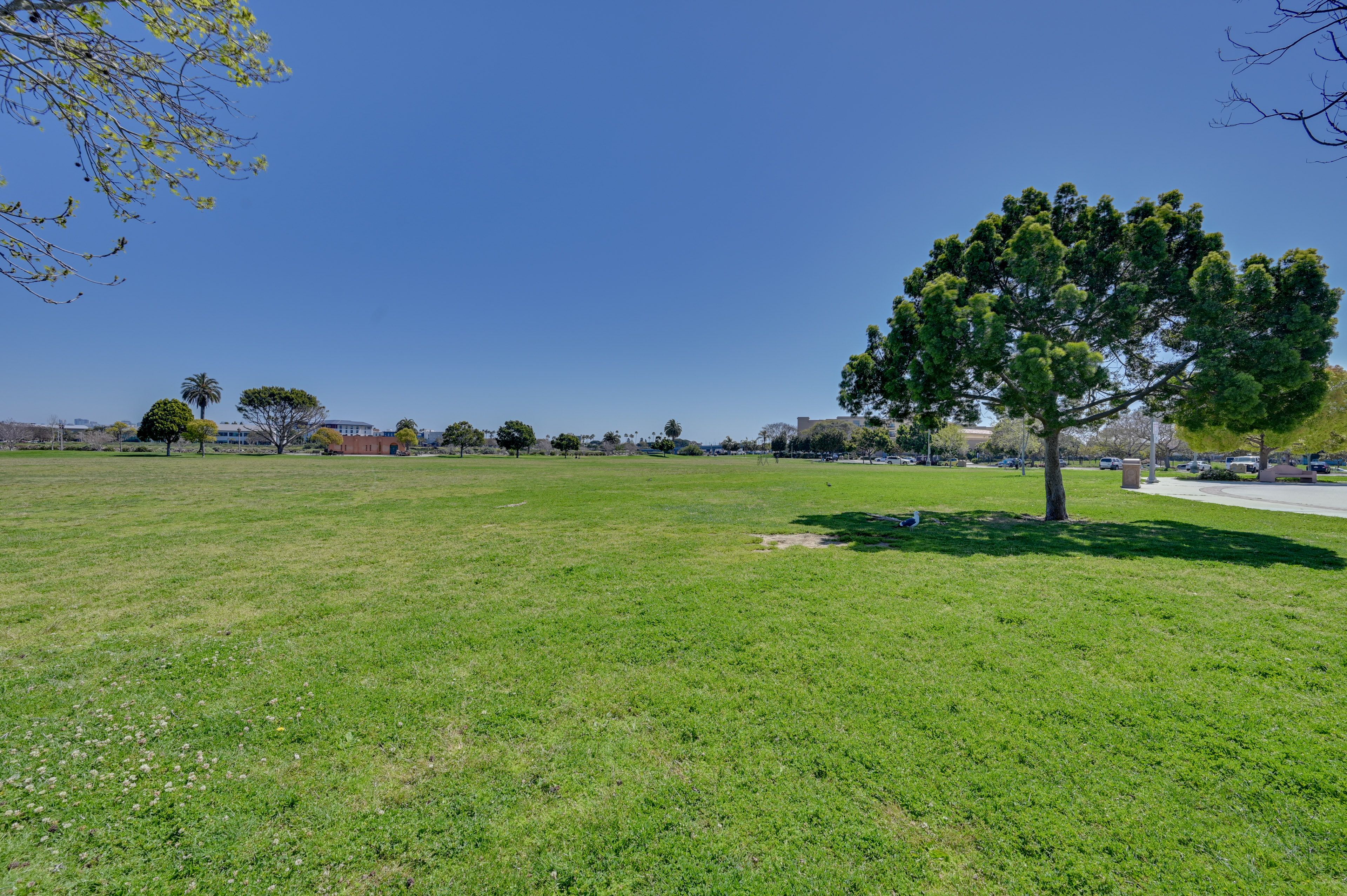 Liberty Station Park