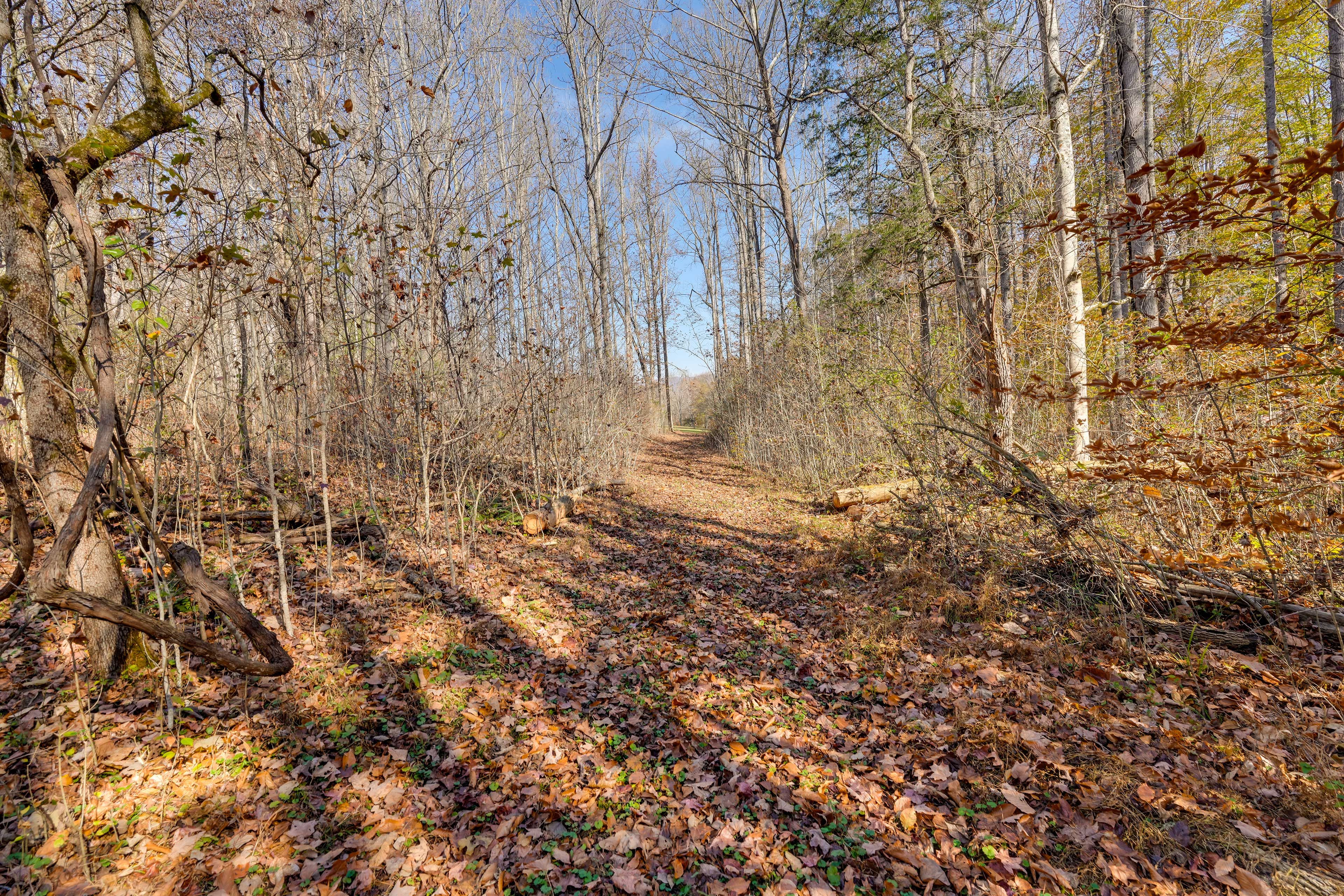Walking Trails On-Site