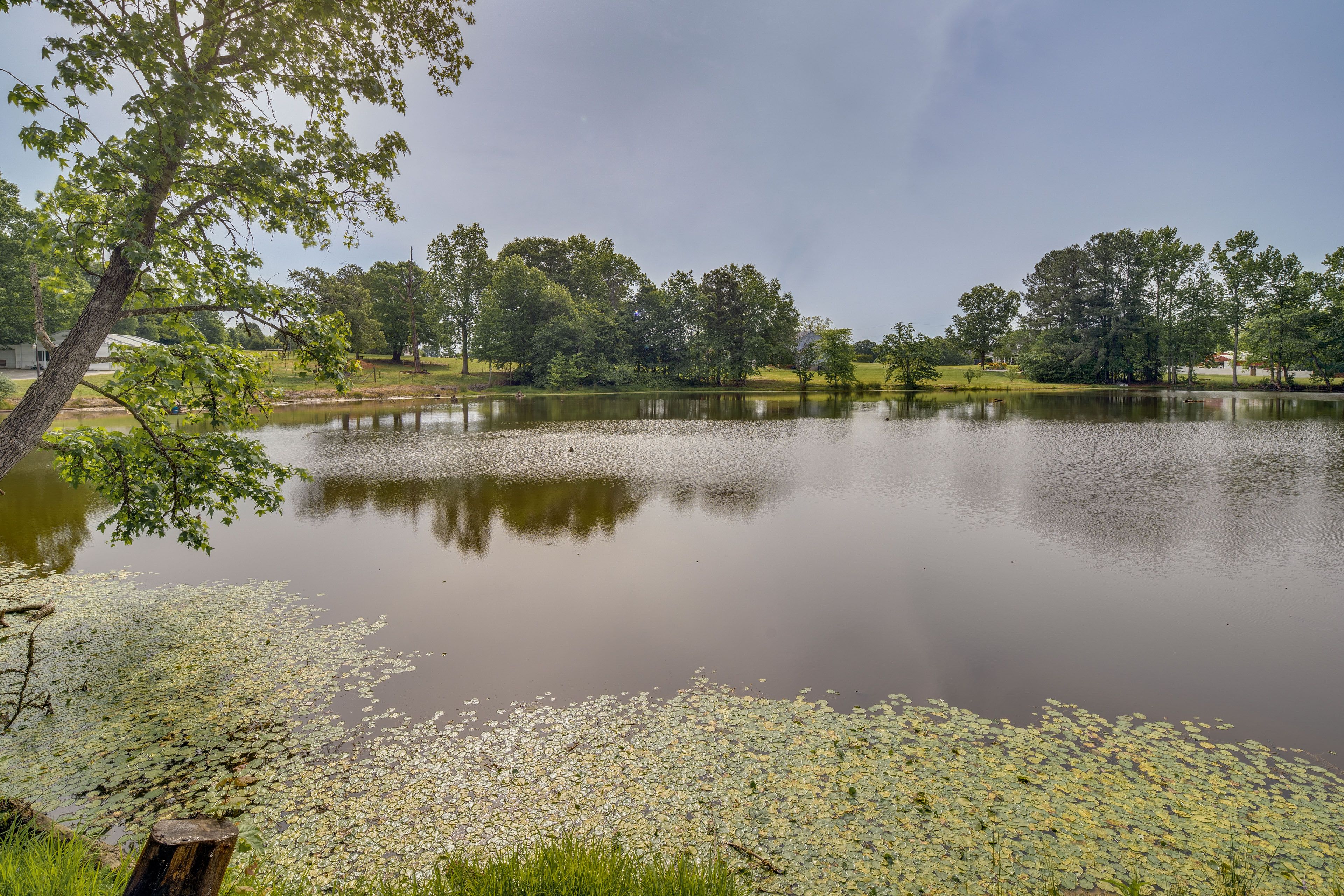 On-Site Pond