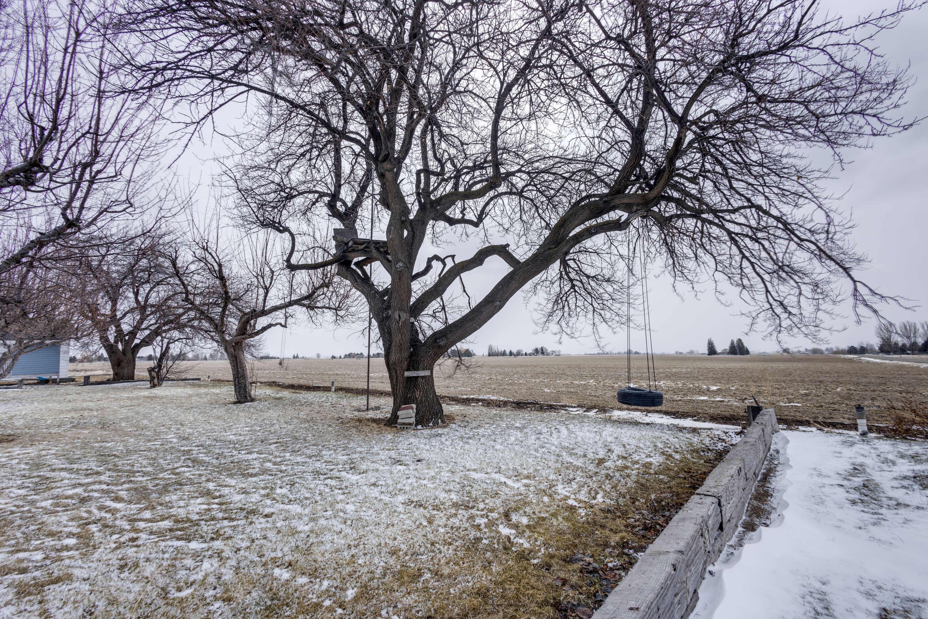 Tire Swing