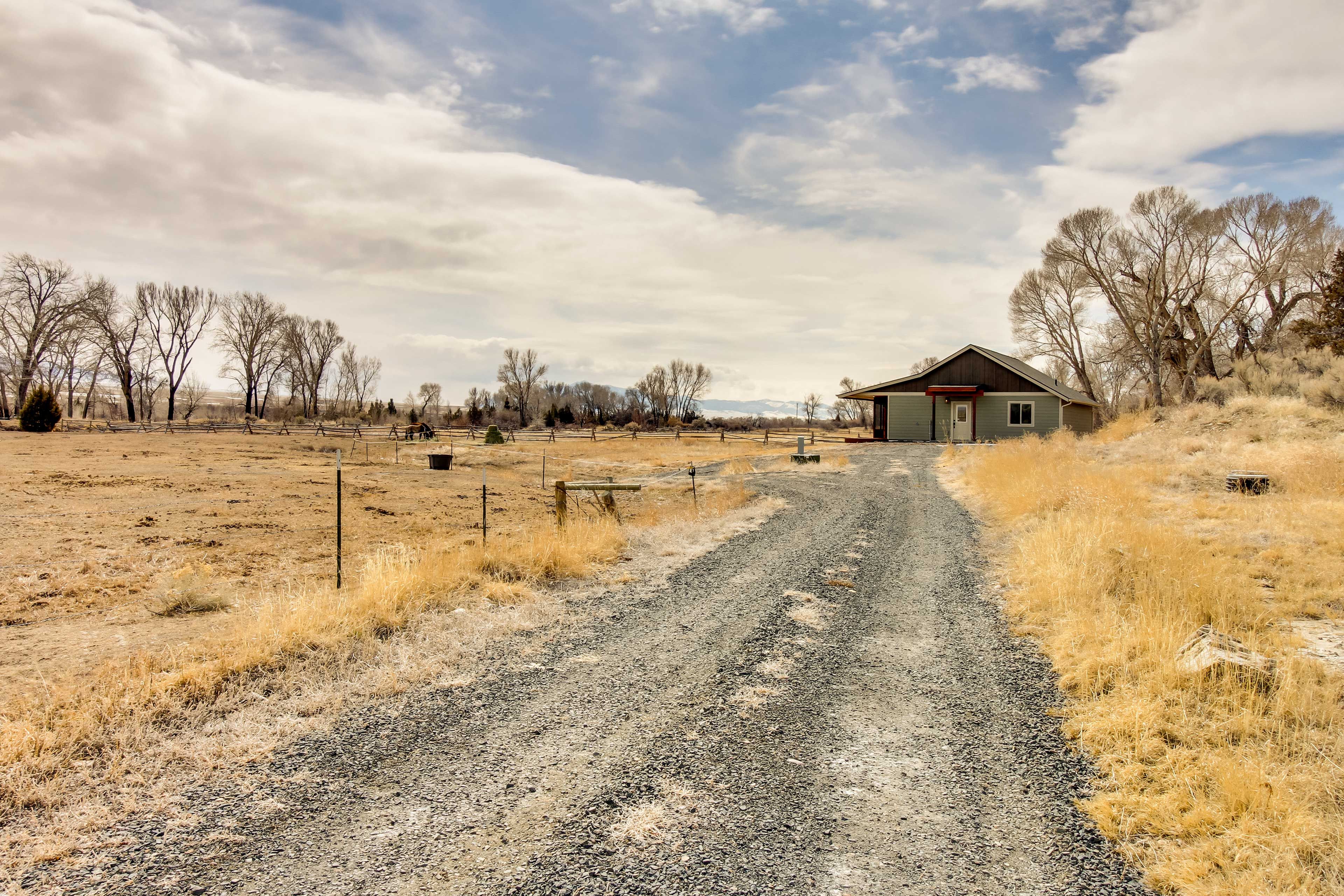 Cabin Exterior | On-Site Horses