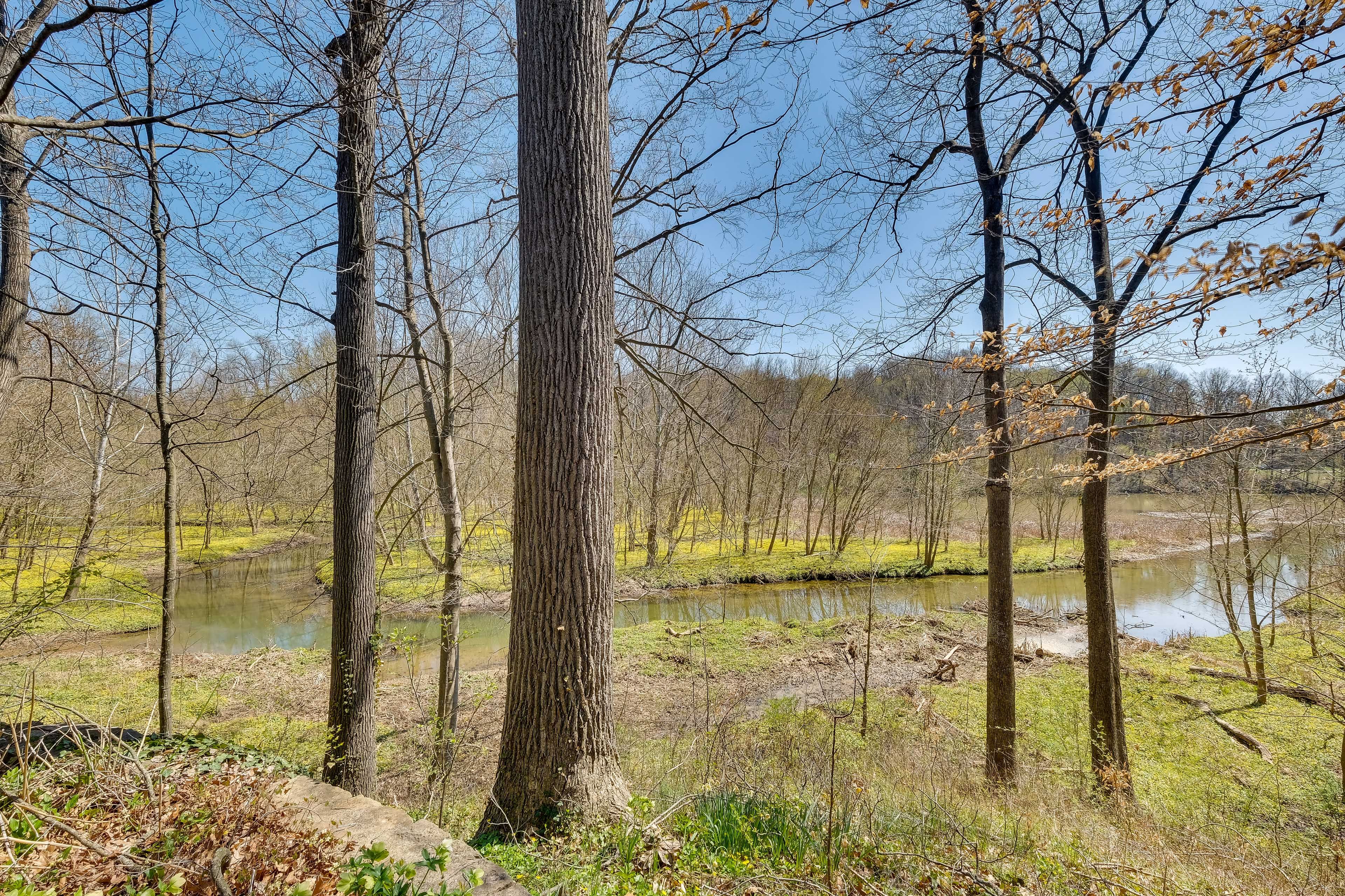 Landscape View