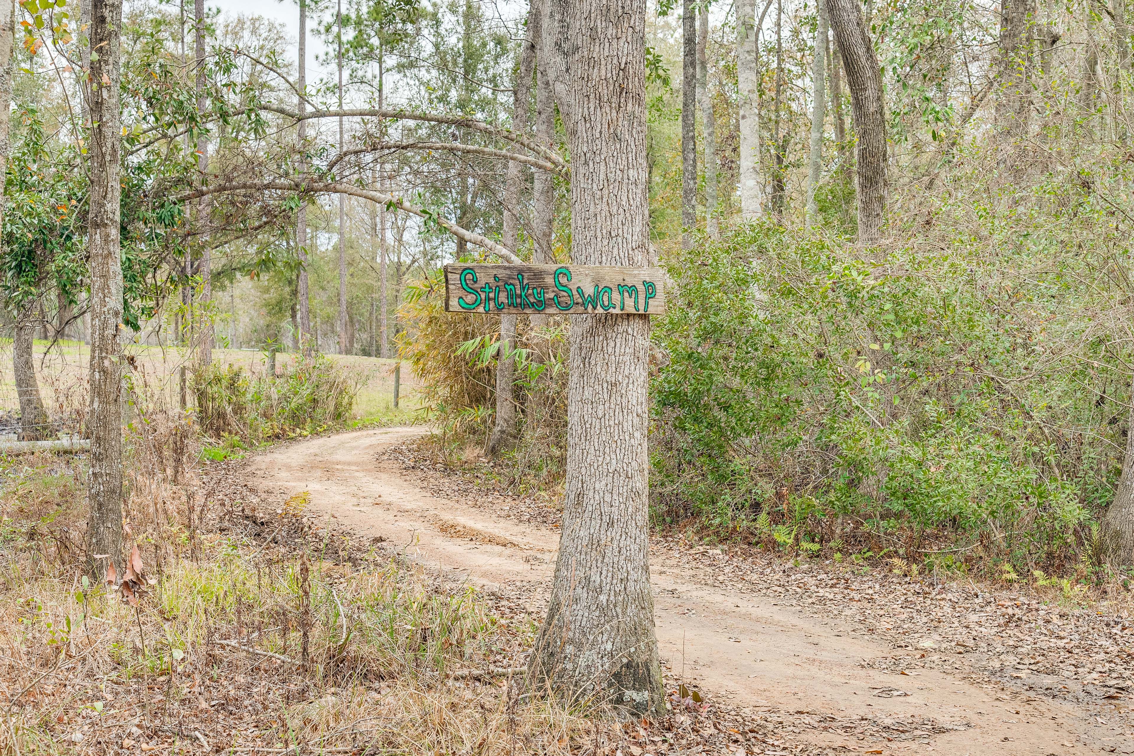 Trail