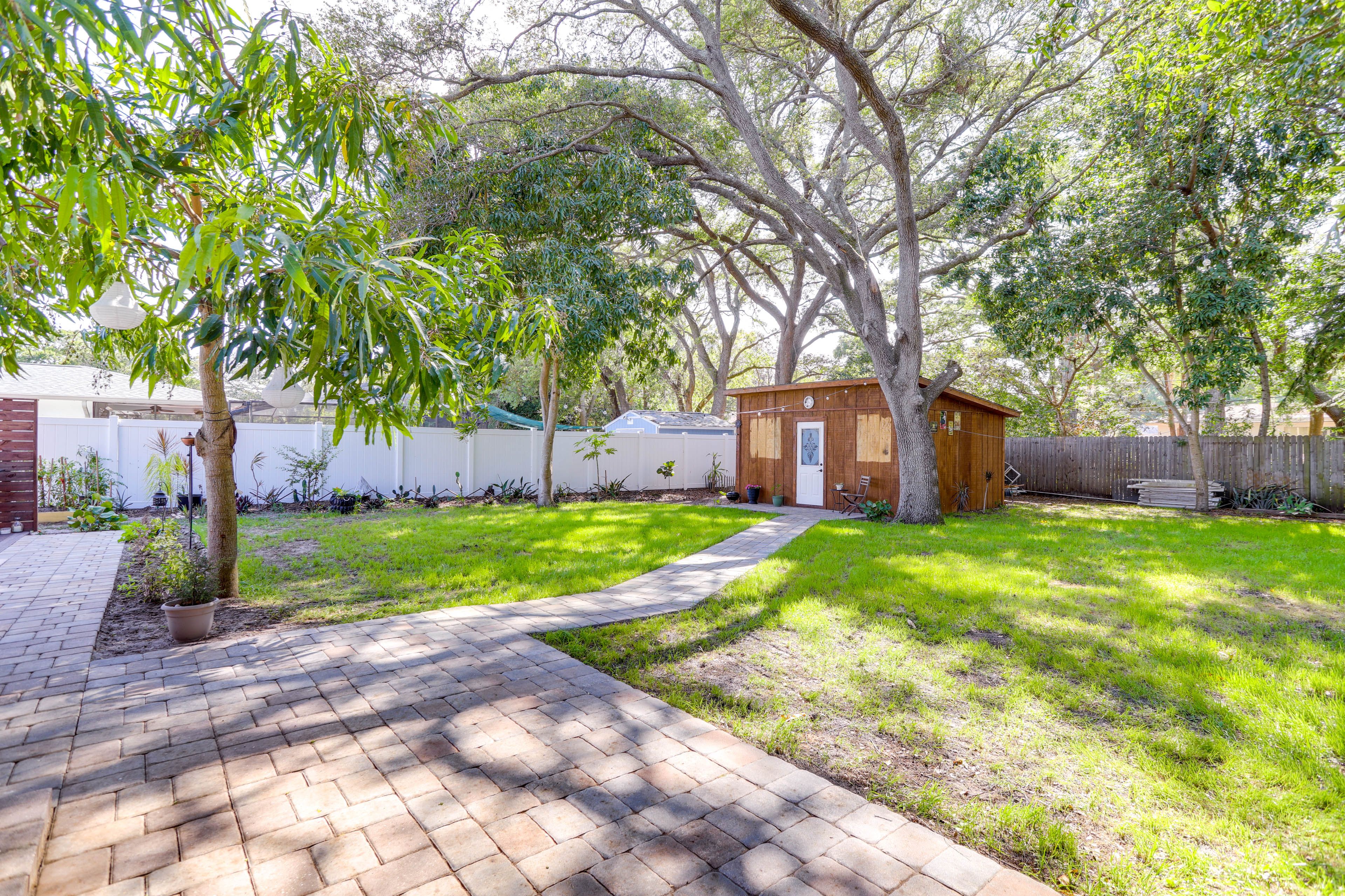 Backyard