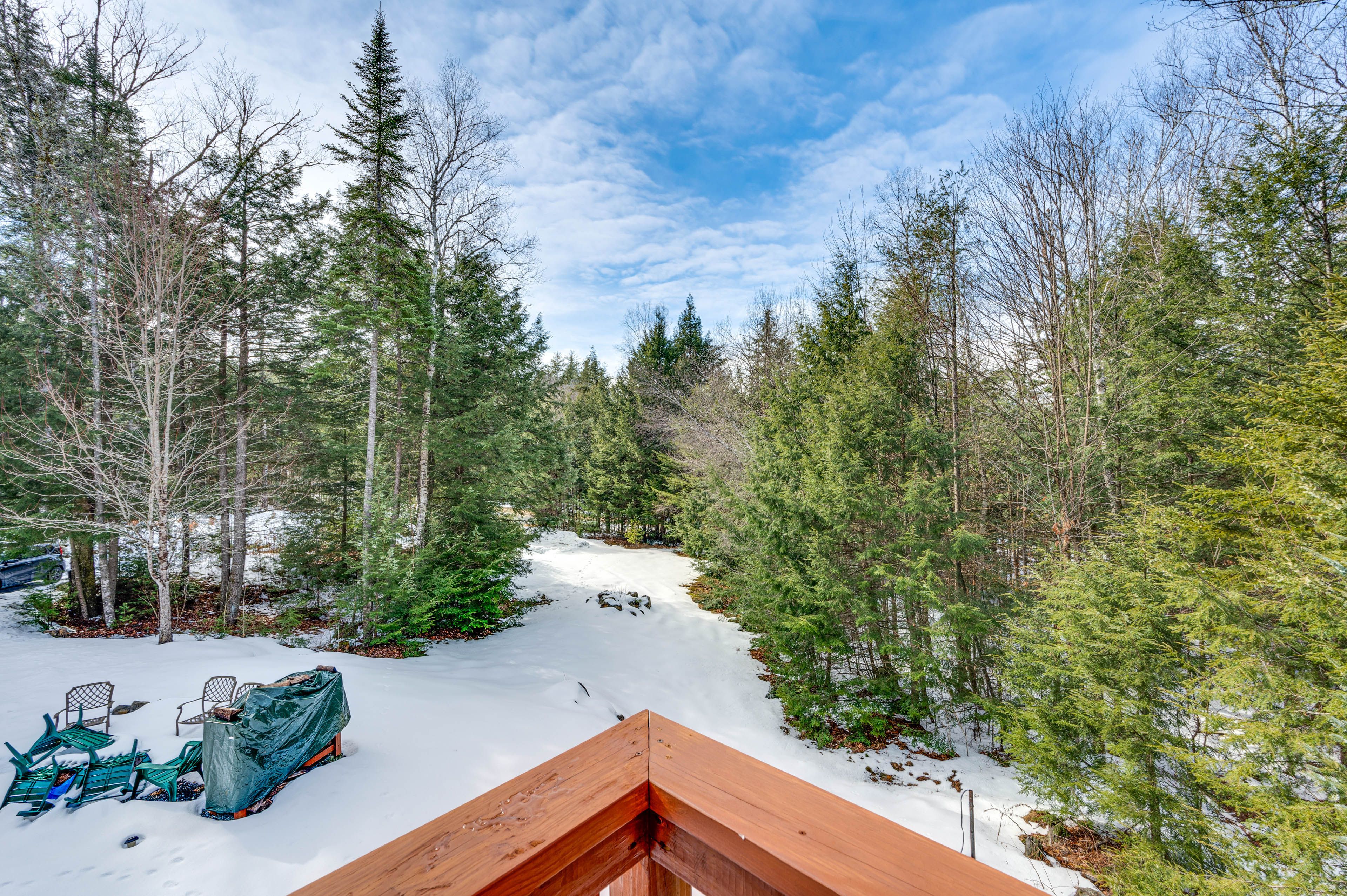 Forest Views | Fire Pit
