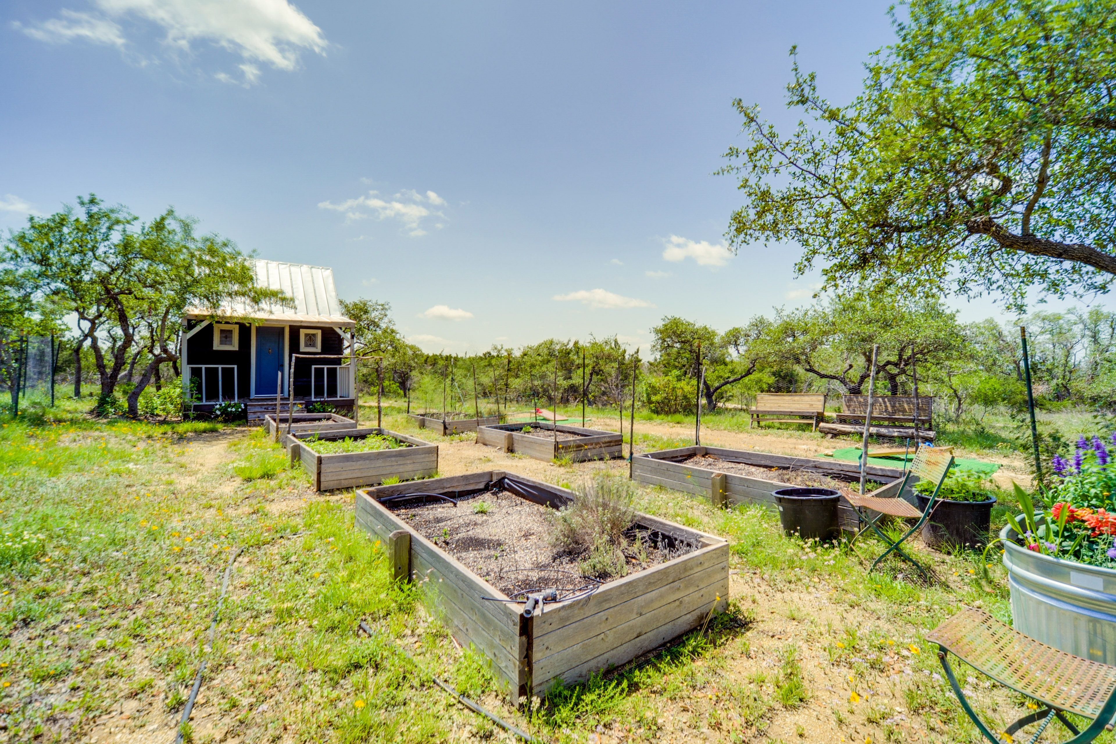 Garden