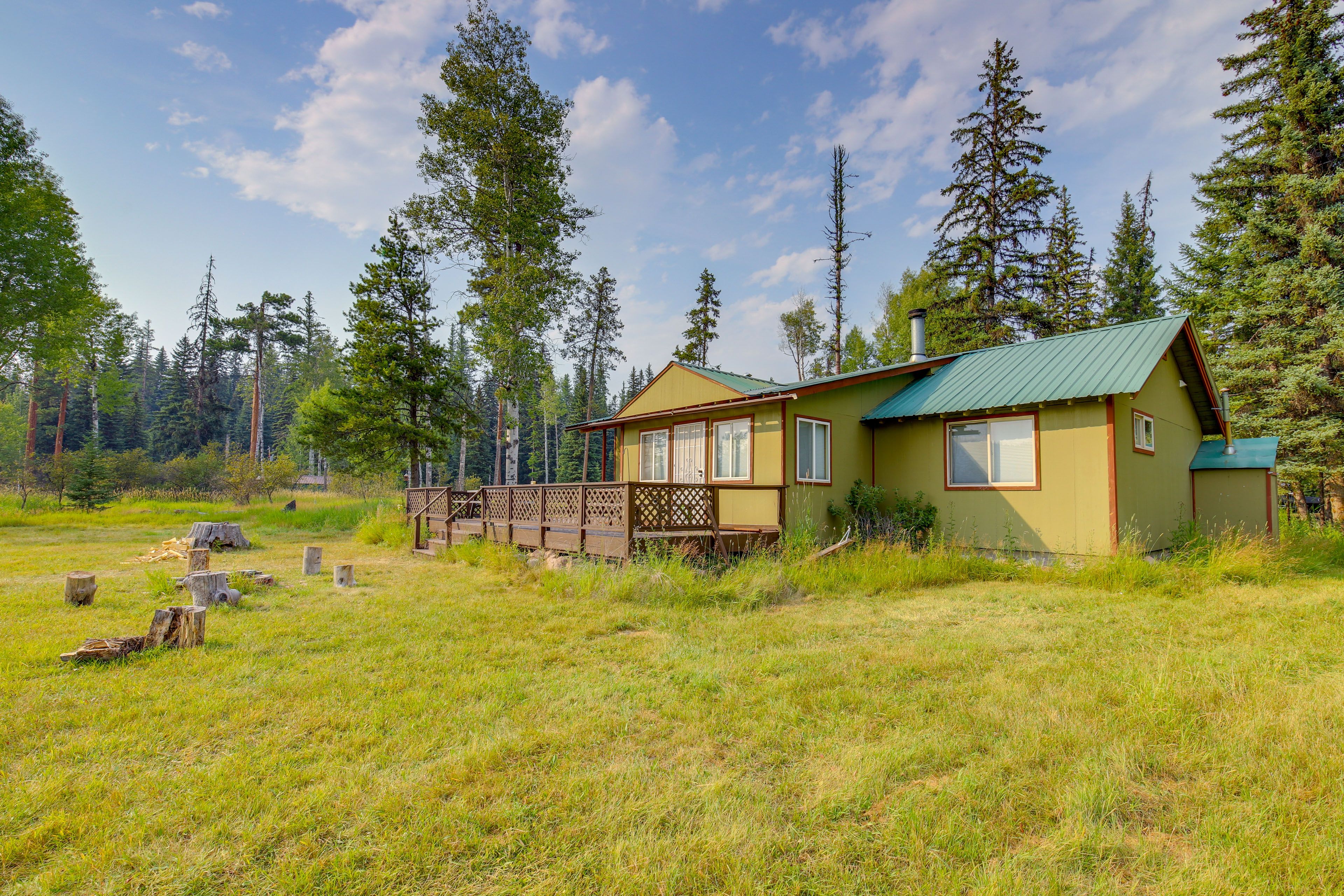 Back Deck | Dining Area | Fire Pit | Gas Grill