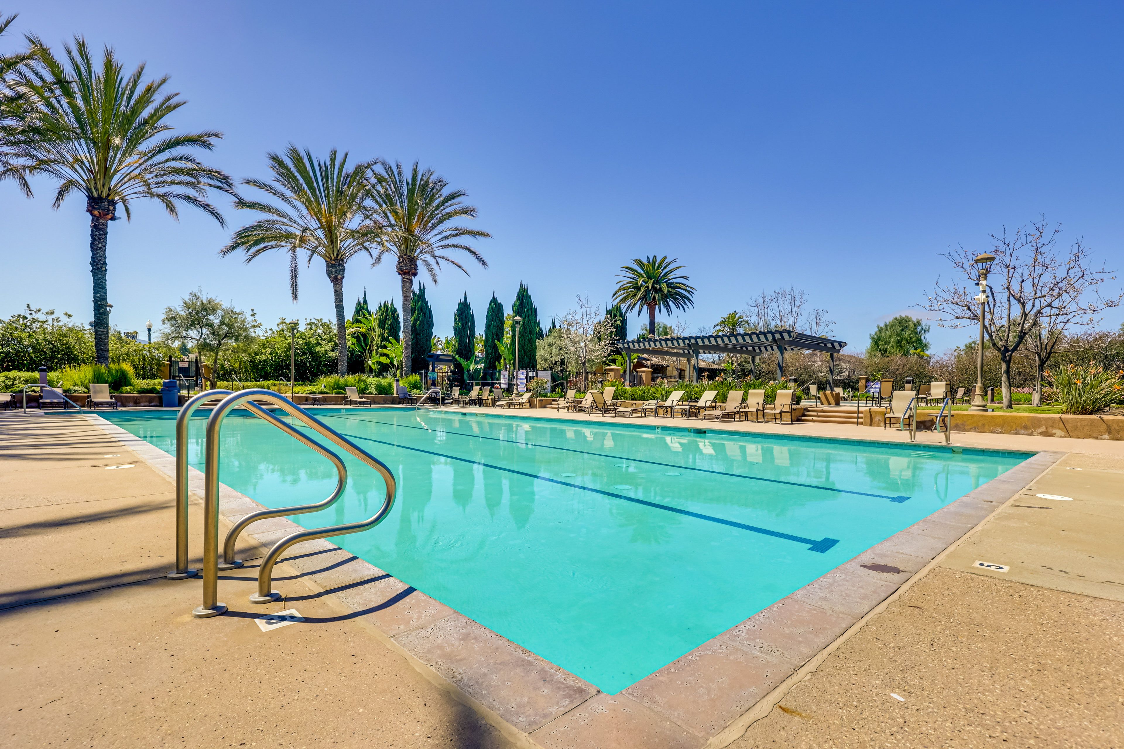 Village at the Park Community Amenities | Outdoor Pool | Lounge Chairs