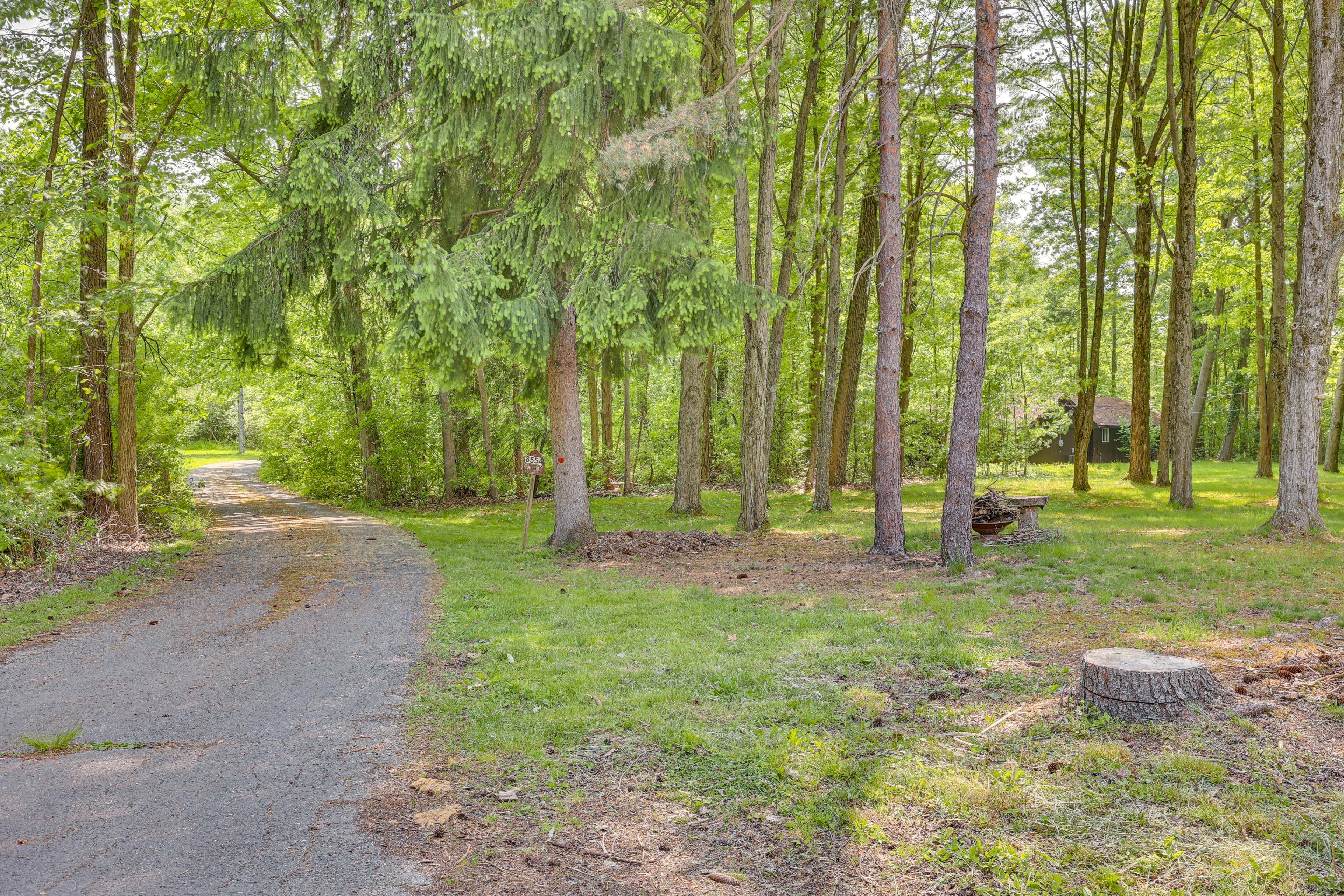 Wooded Area