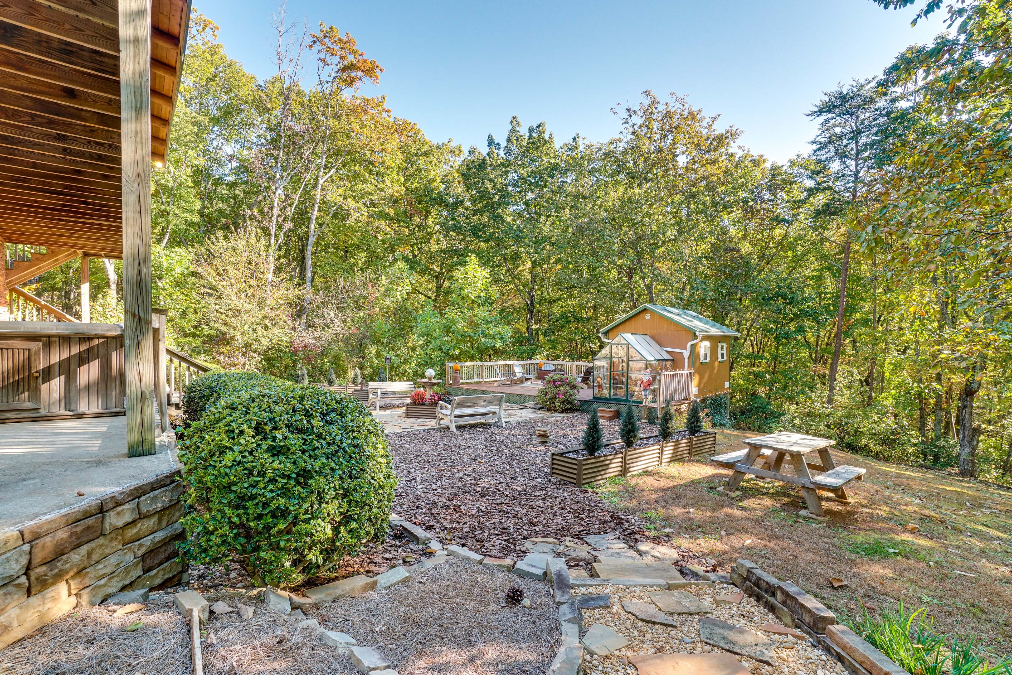 Backyard