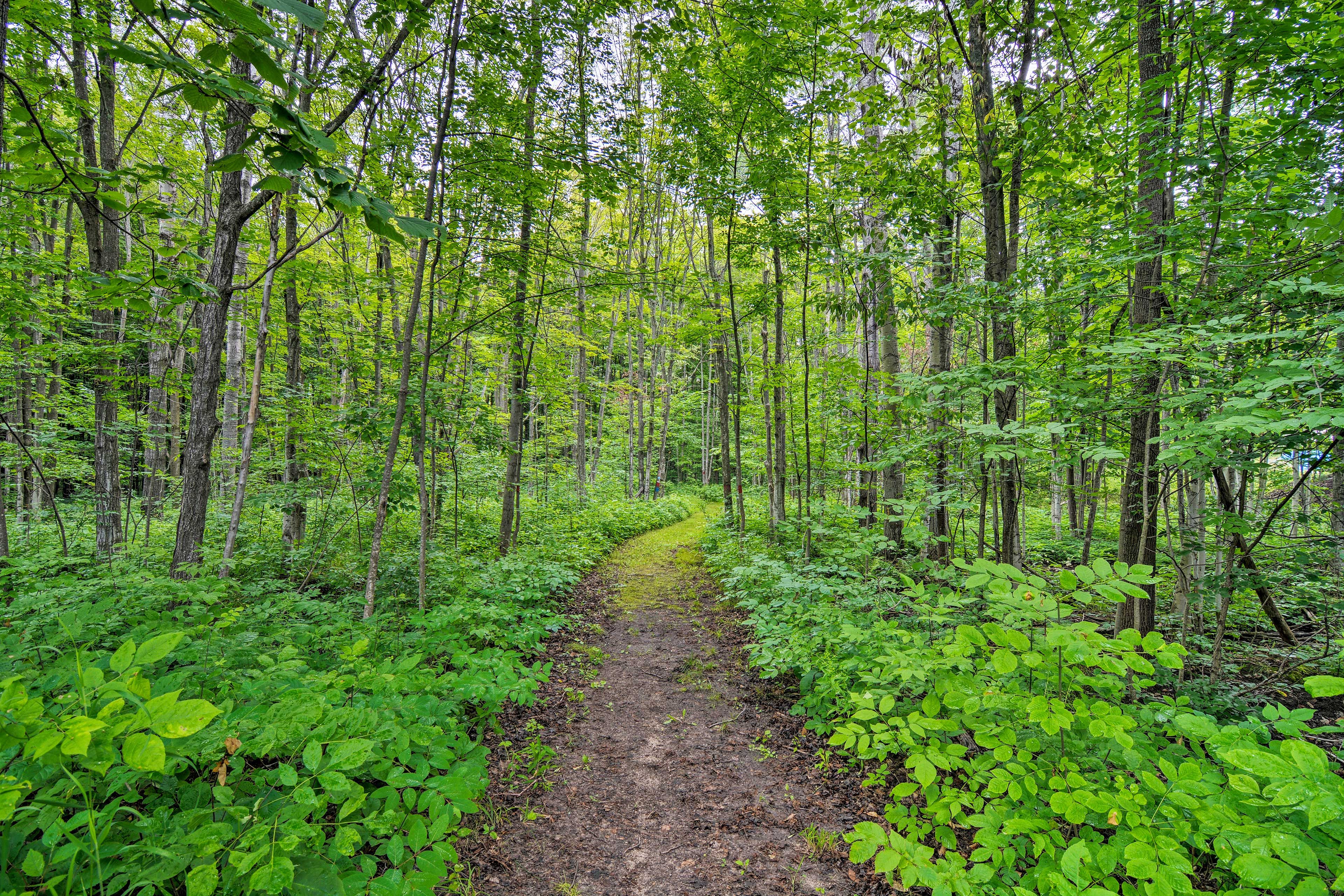 Walking Trail