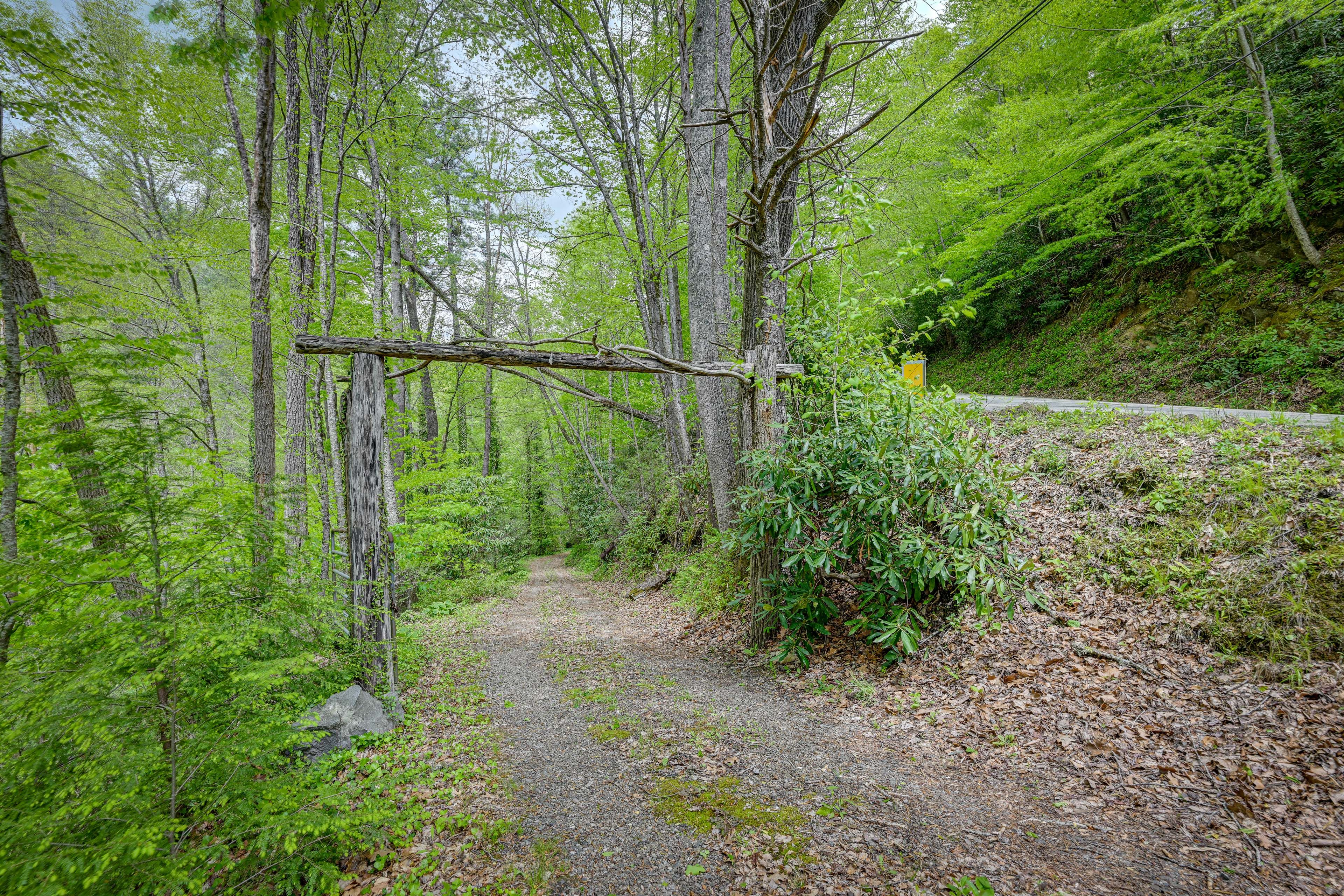 Image 45