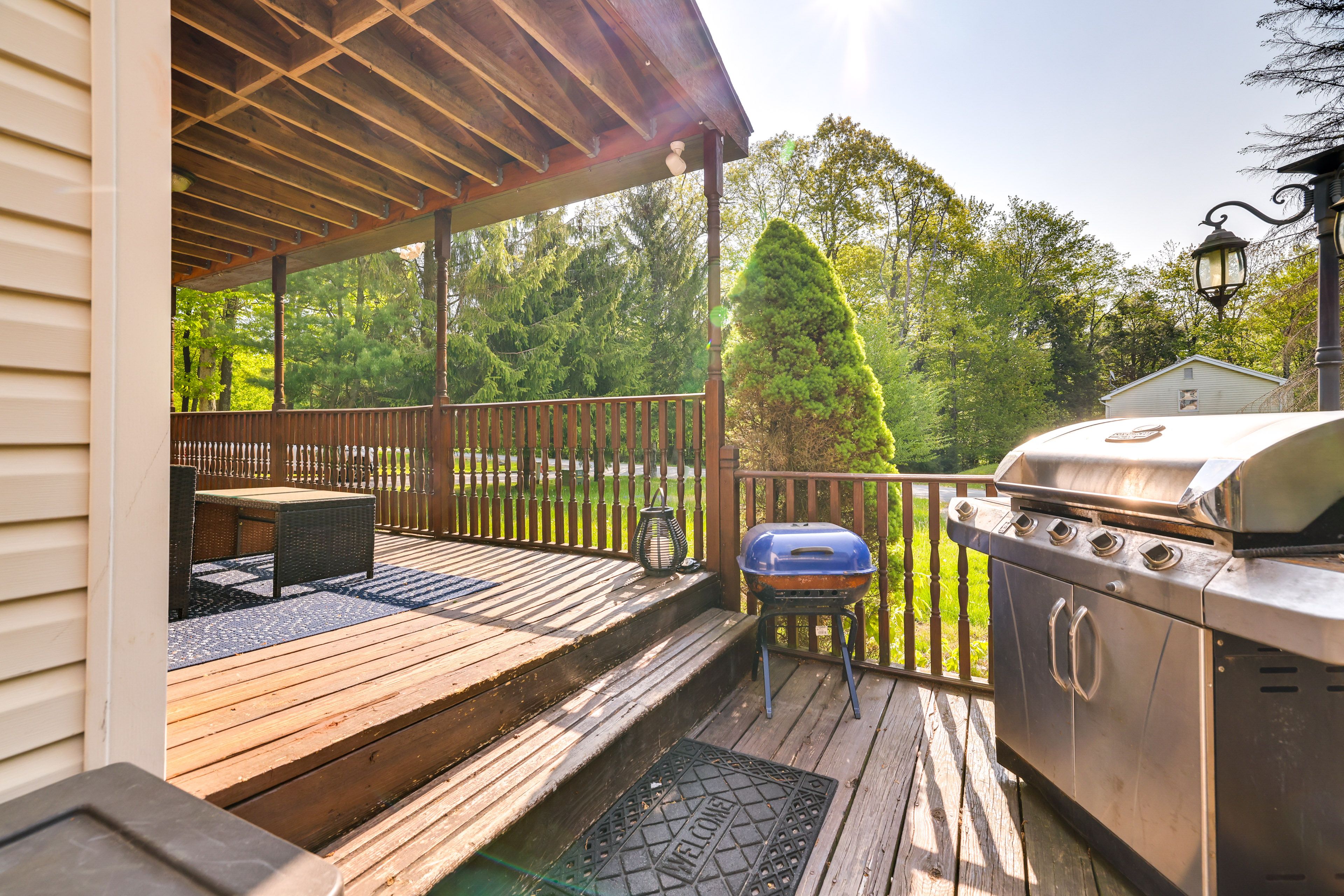 Gas Grill