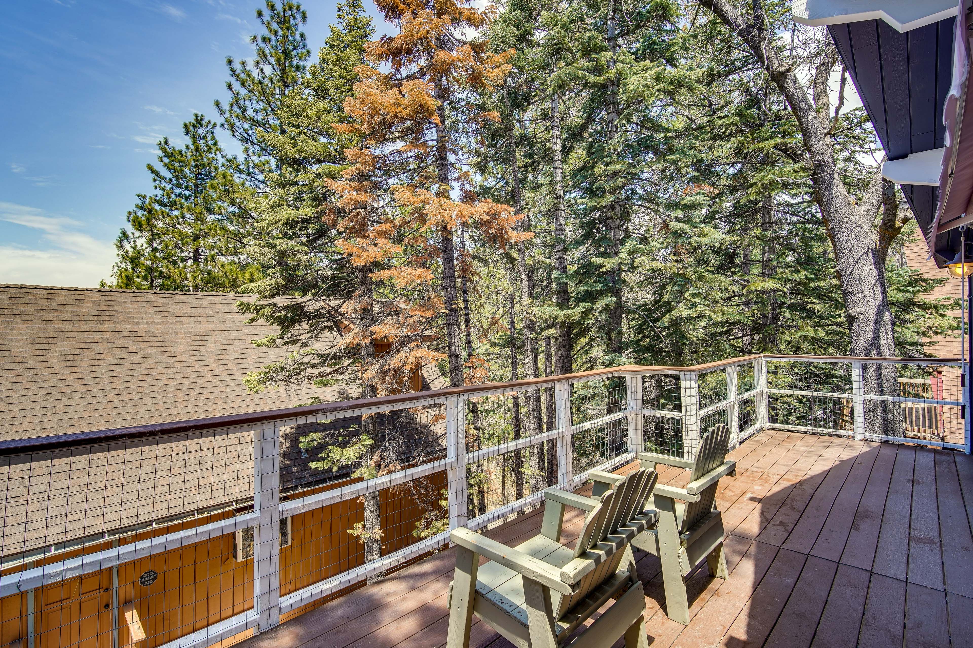 Deck | Seating | Forested Views | Fire Pit | Grill