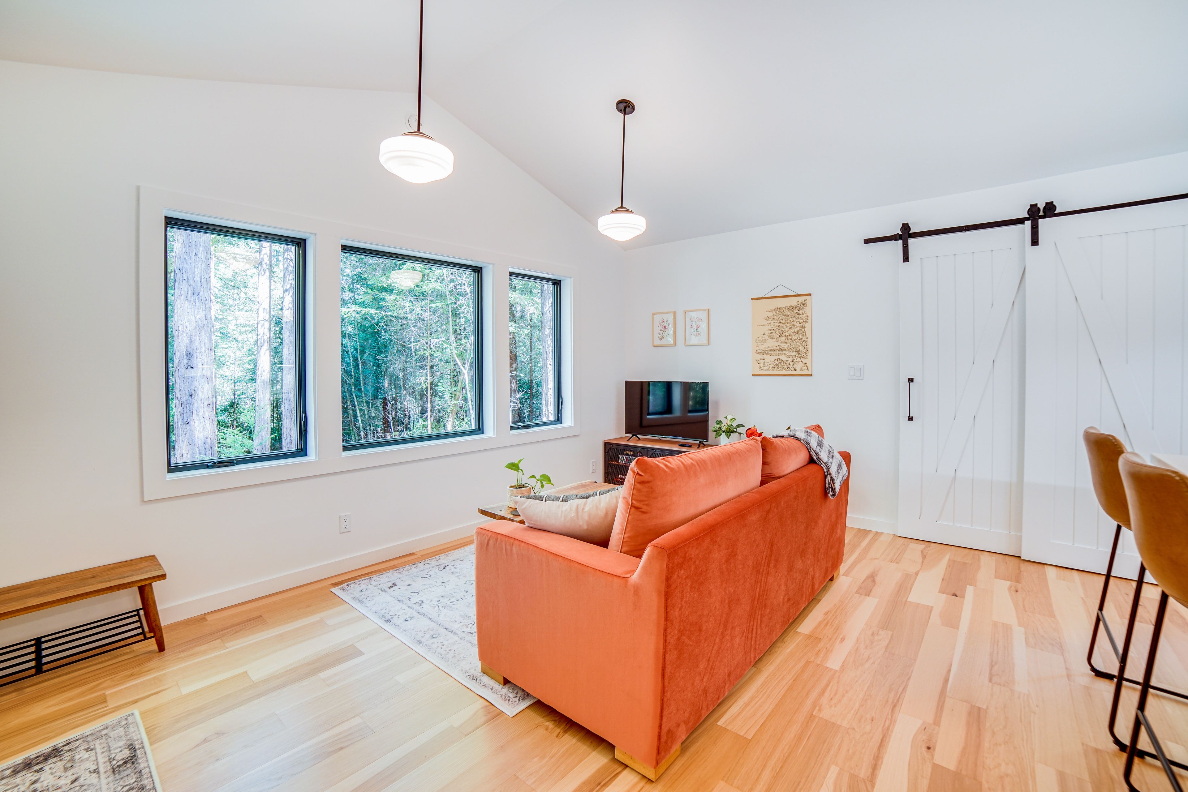 Living Room | Smart TV | Queen Sleeper Sofa