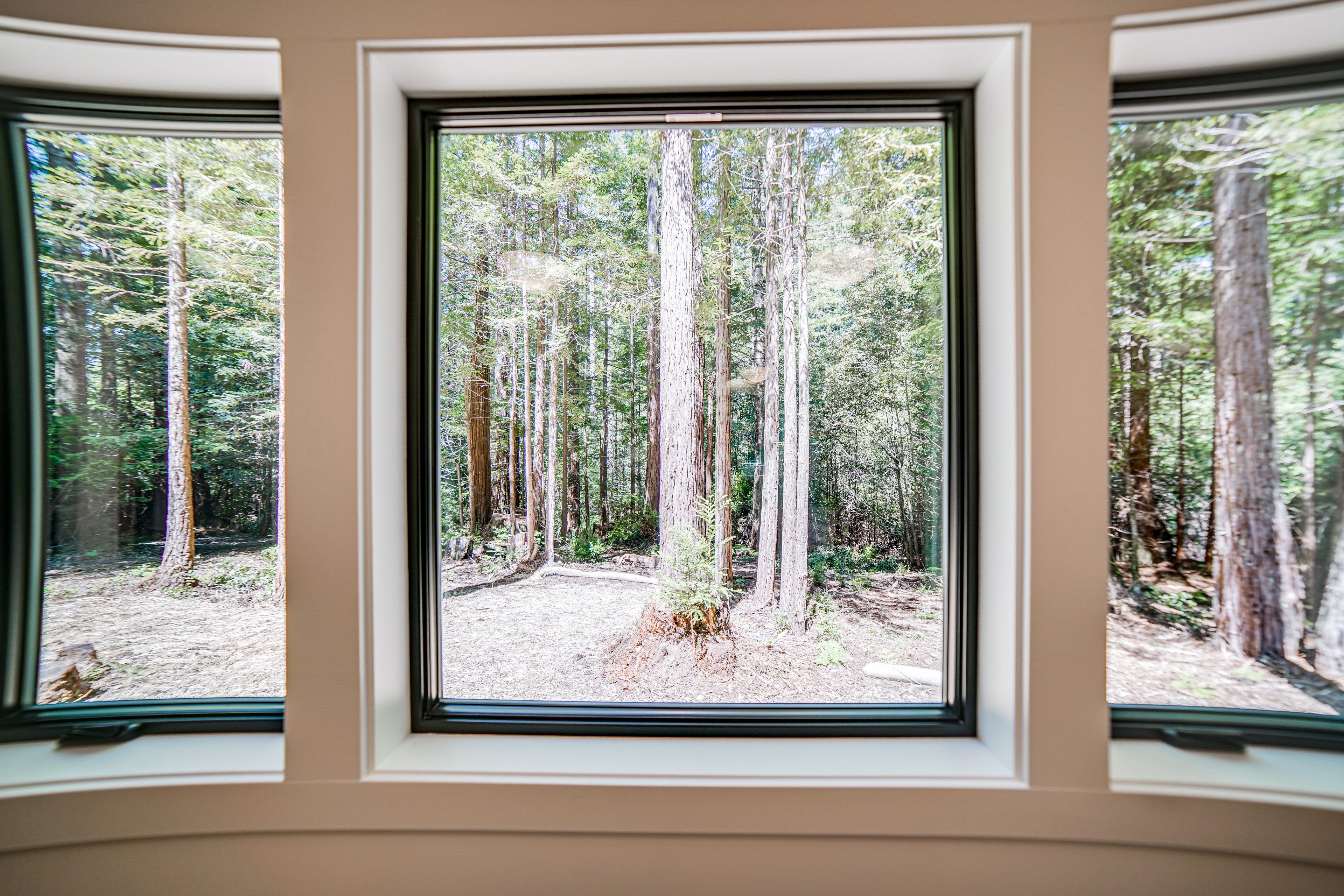 Living Room | Redwood Views