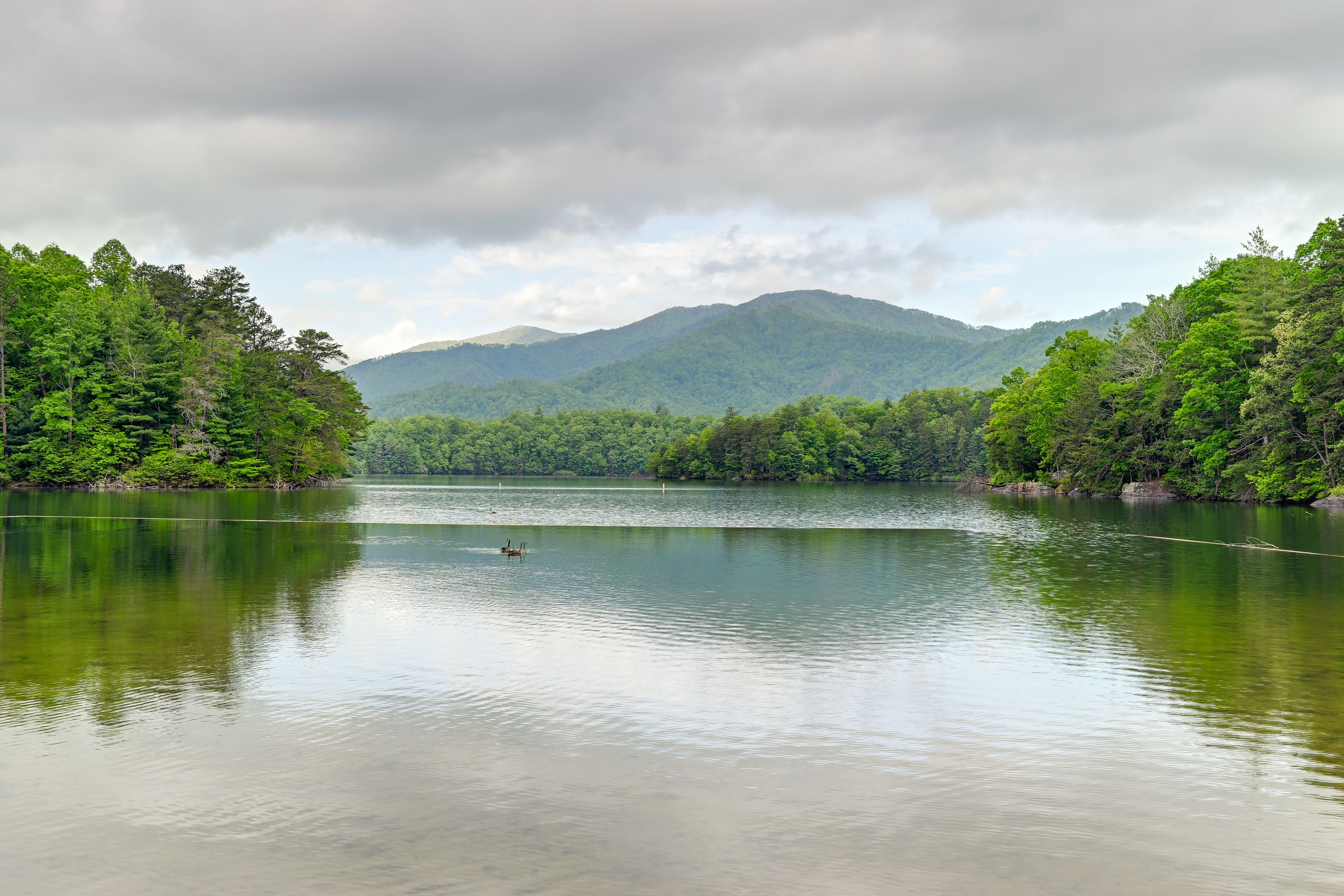 Lake Santeetlah