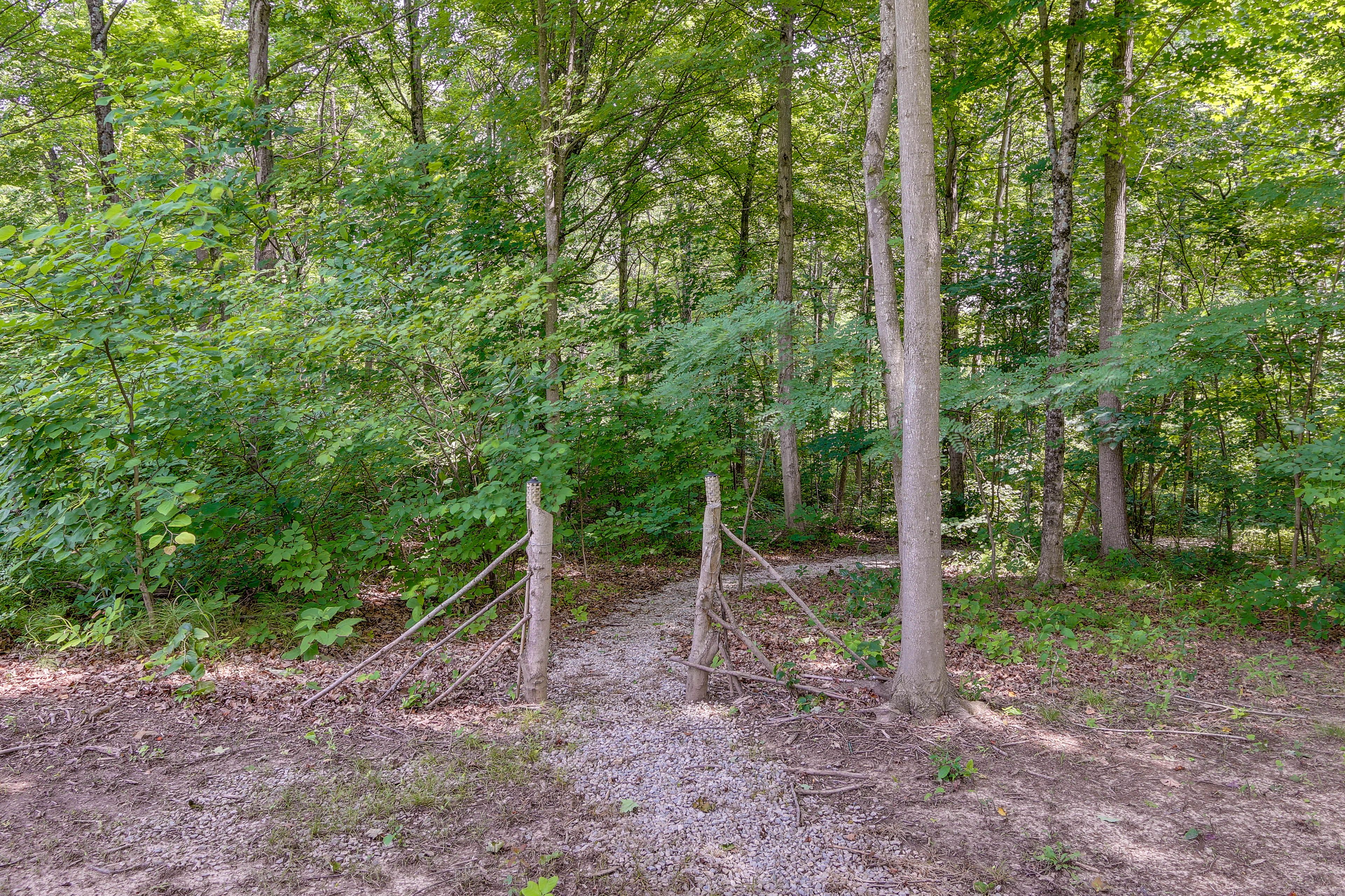Trail