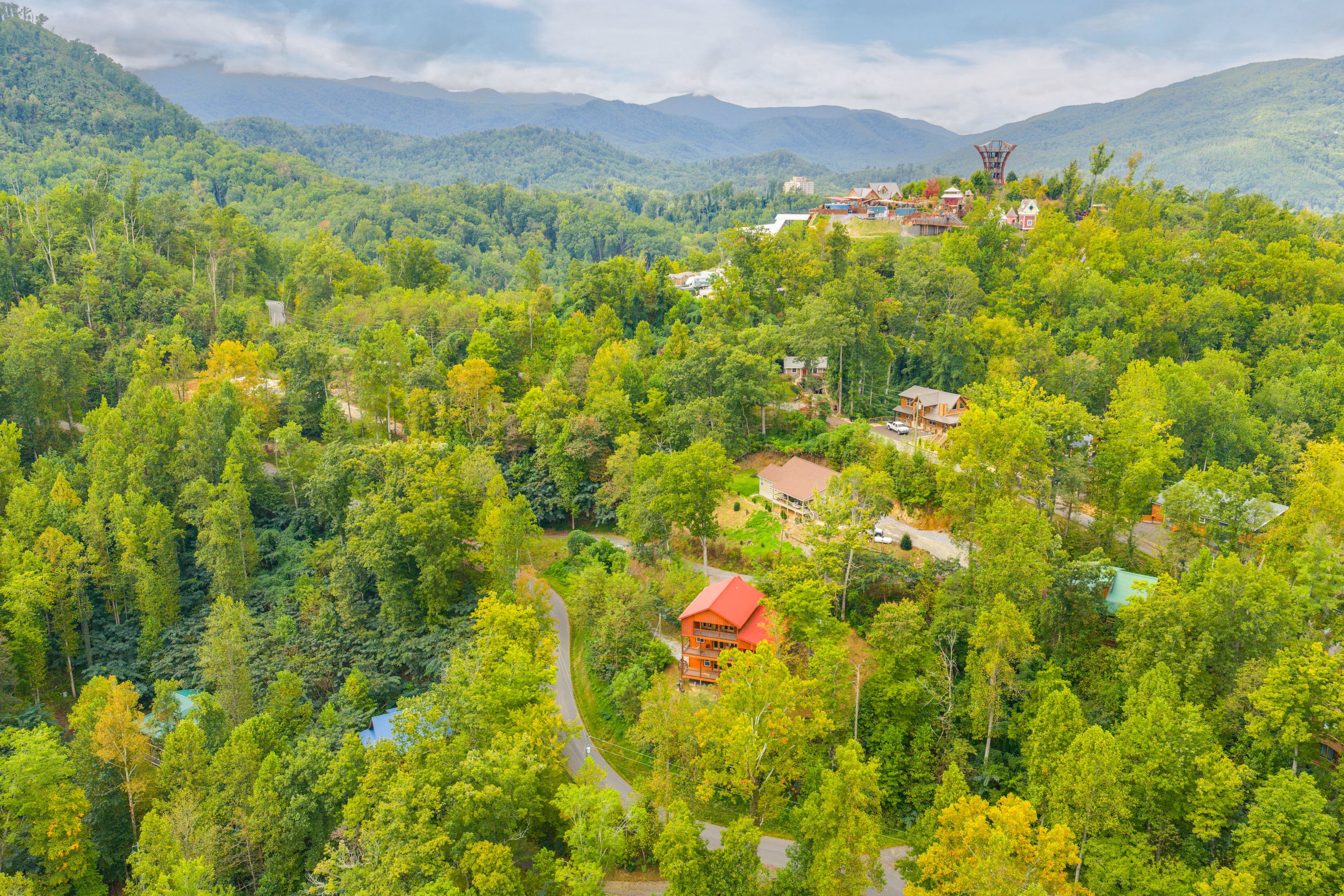 Stunning Mountain & Forested Views
