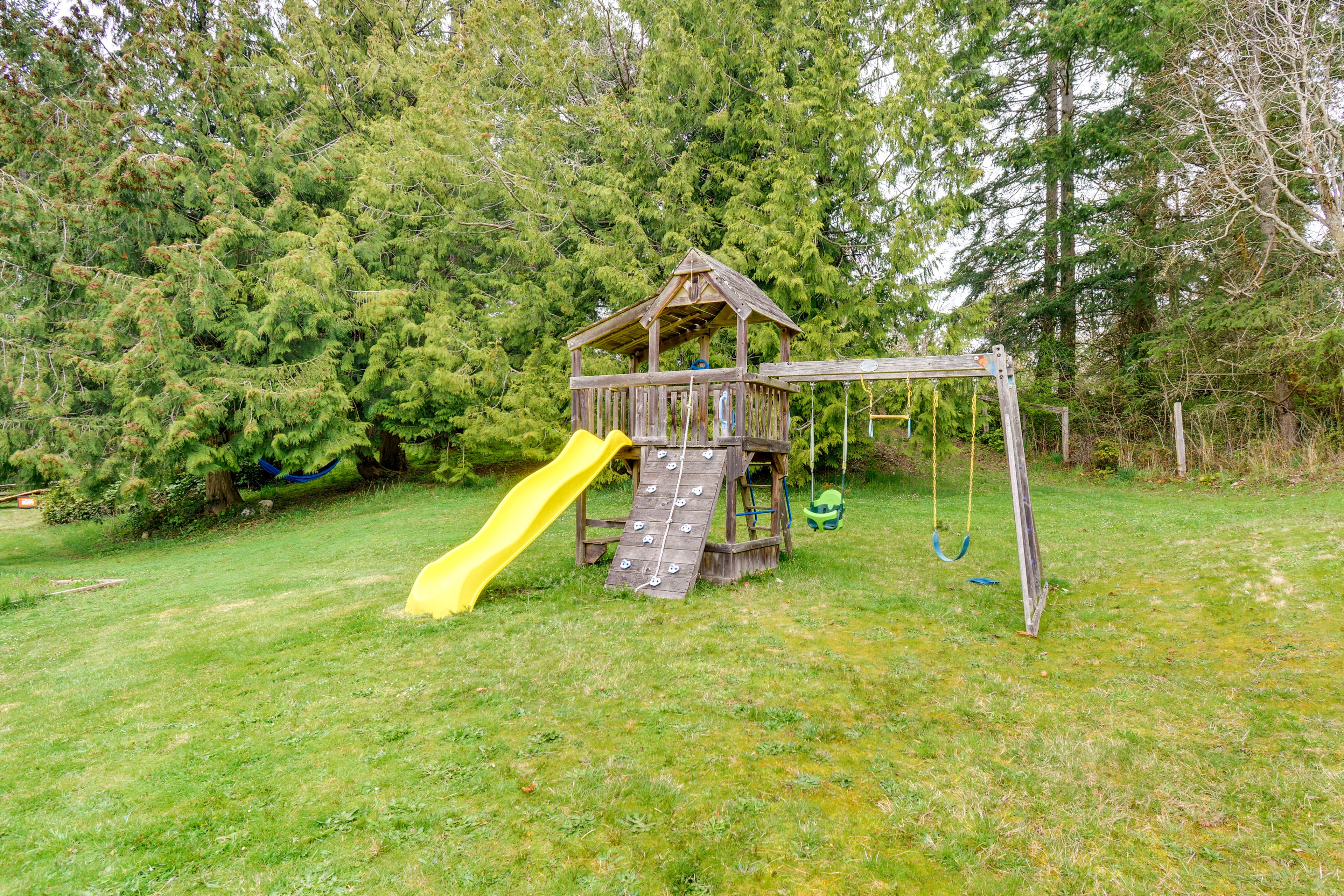 Image 25