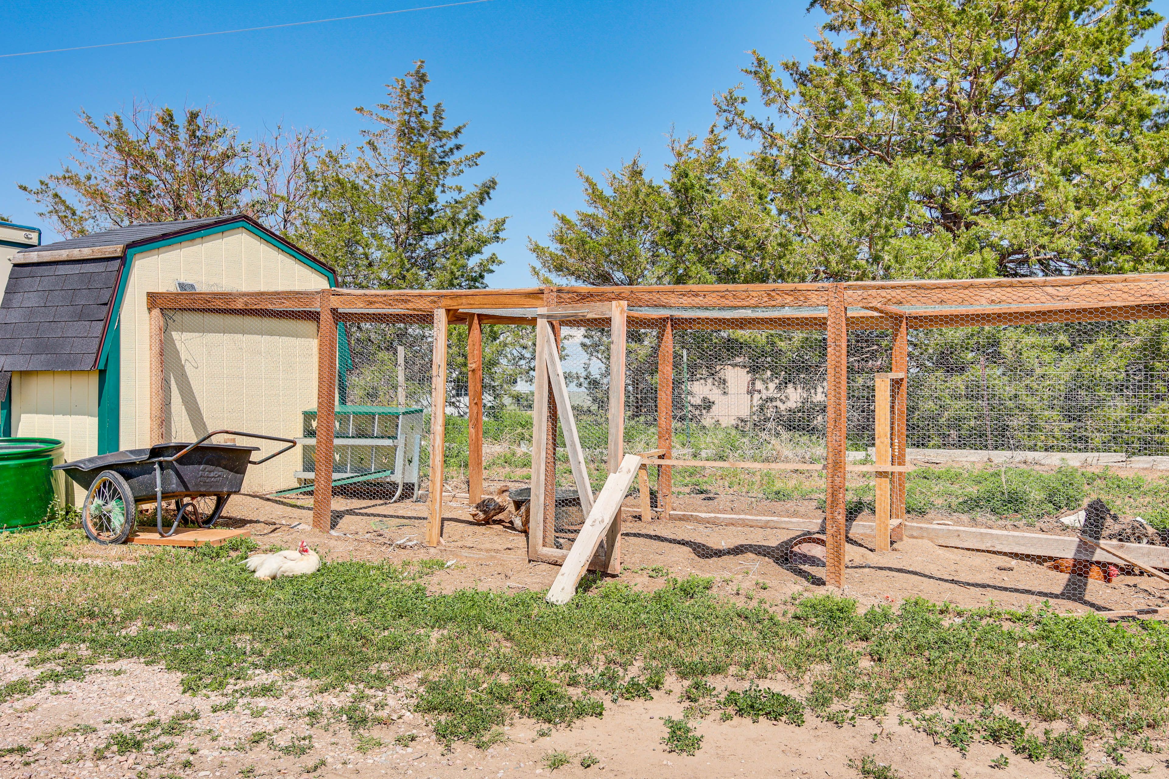 Ranch Animals On-Site | Optional Animal Experiences (w/ On-Site Fee)