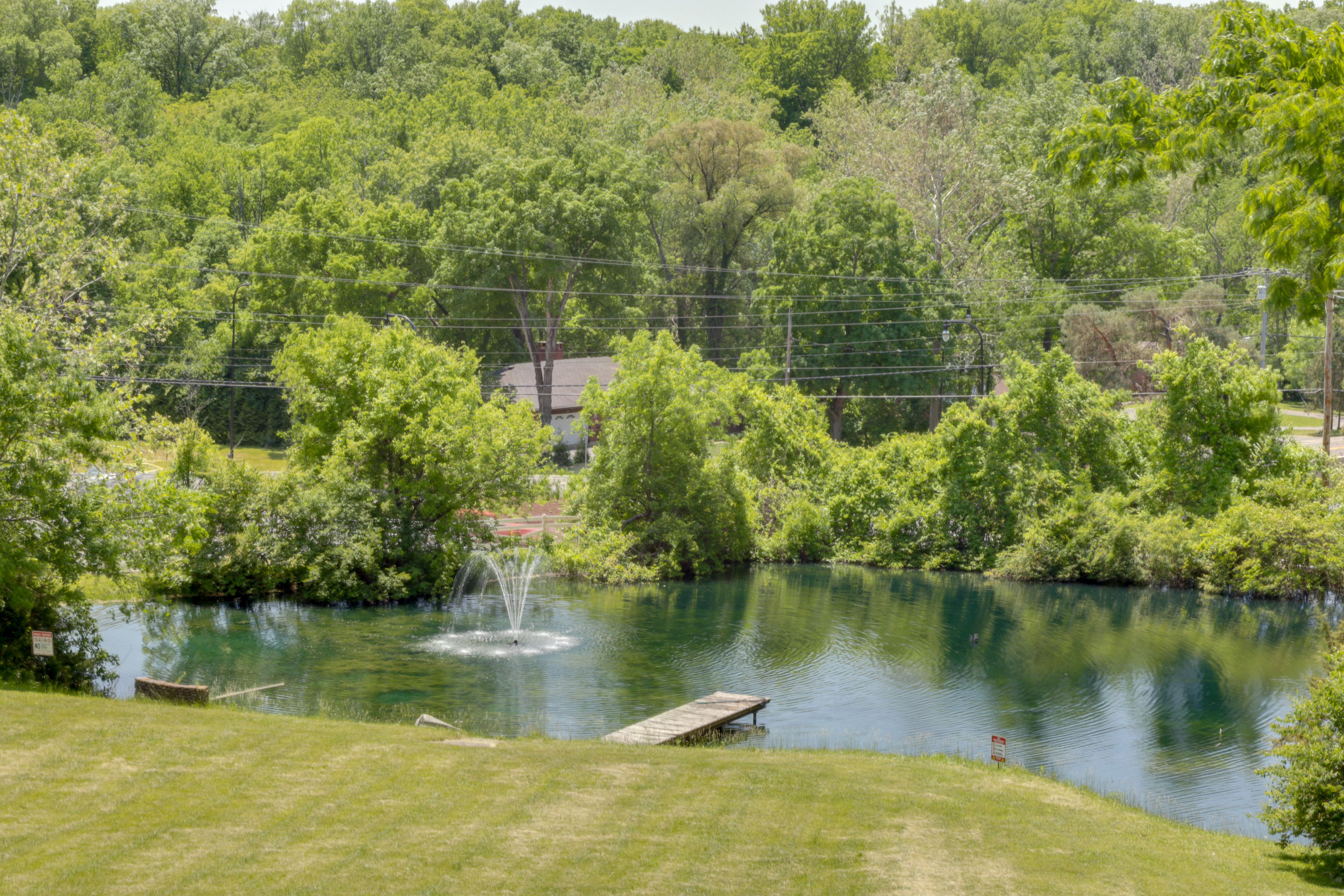 Stocked Pond (Catch & Release)