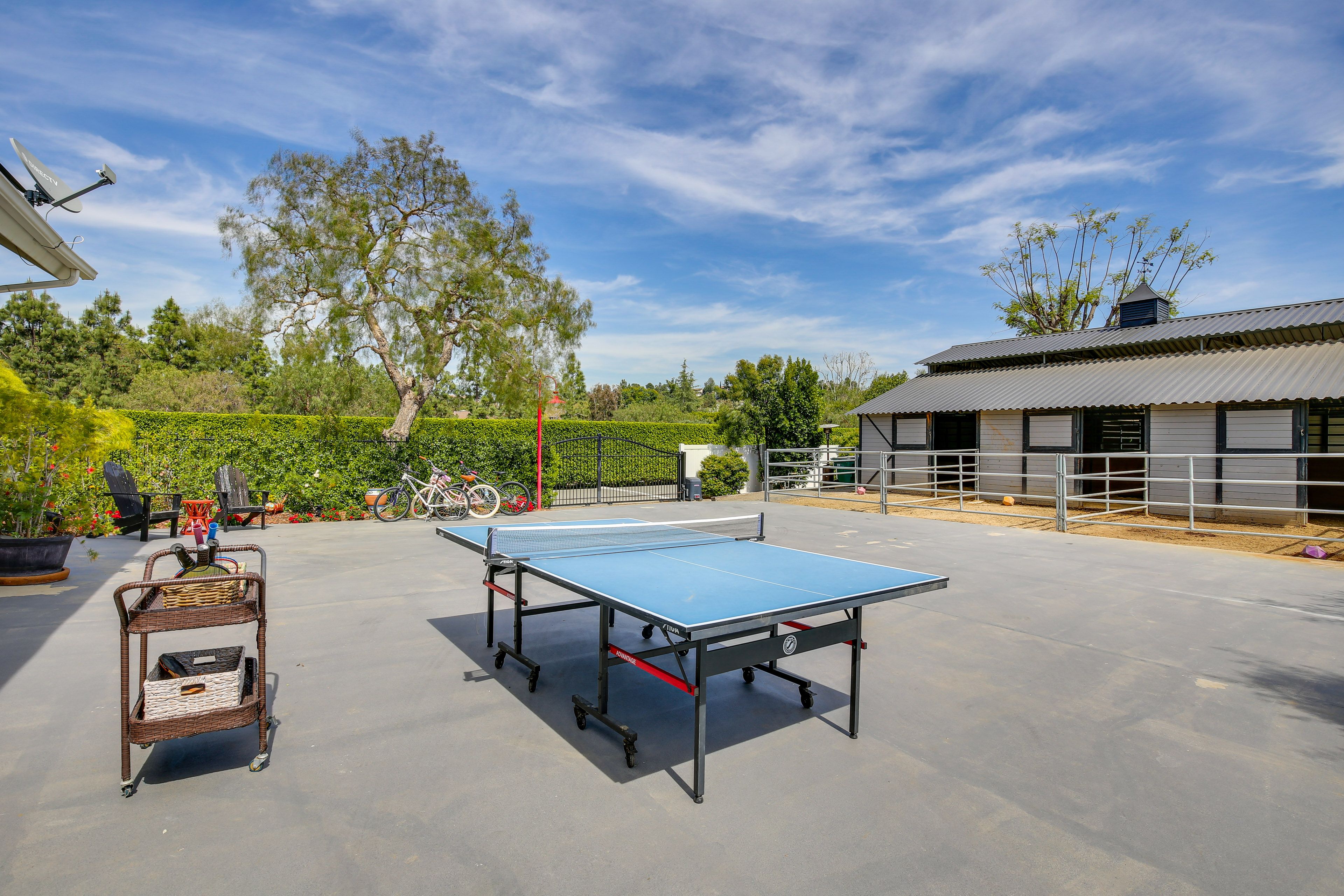 Ping-Pong Table | Bicycles