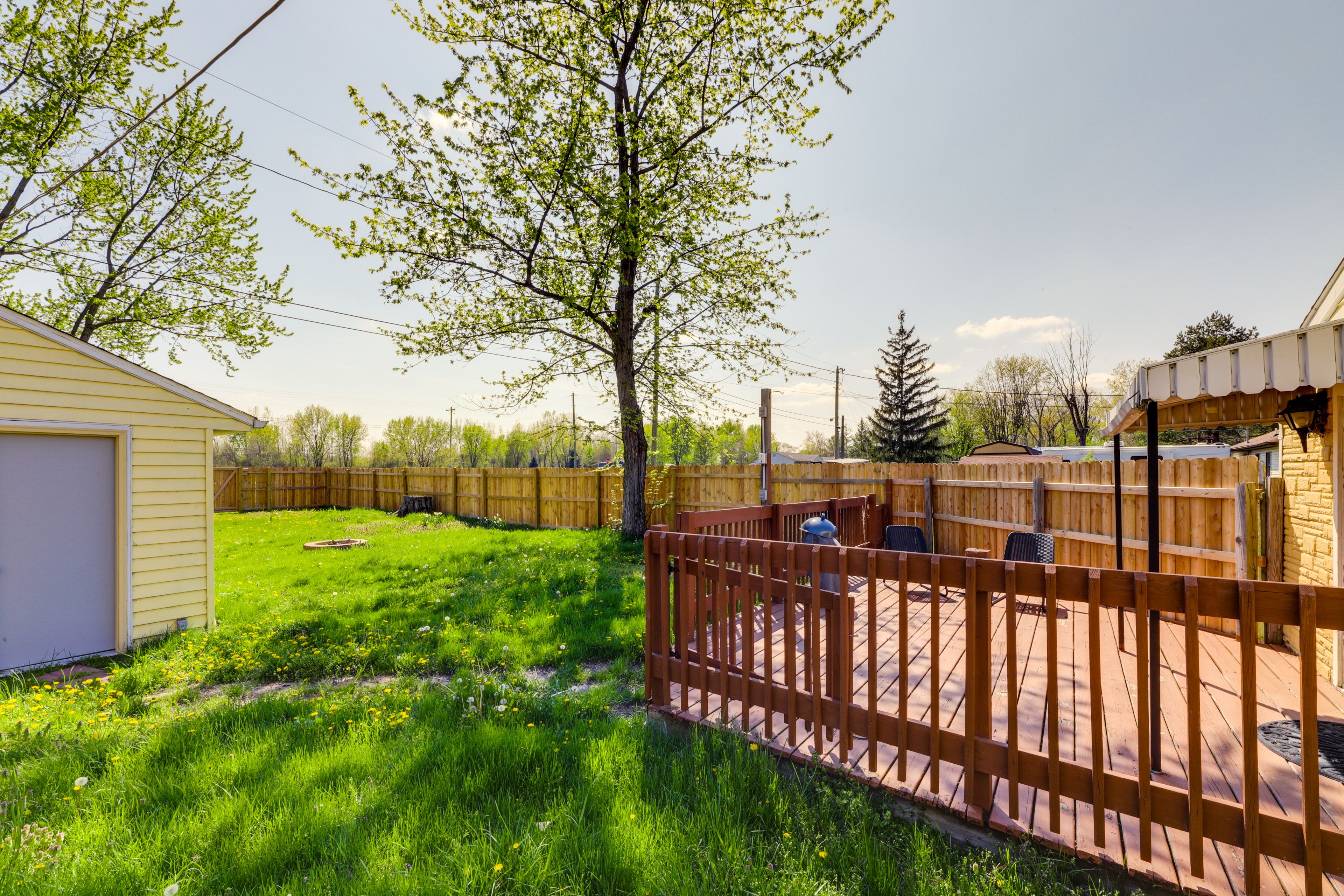 Backyard