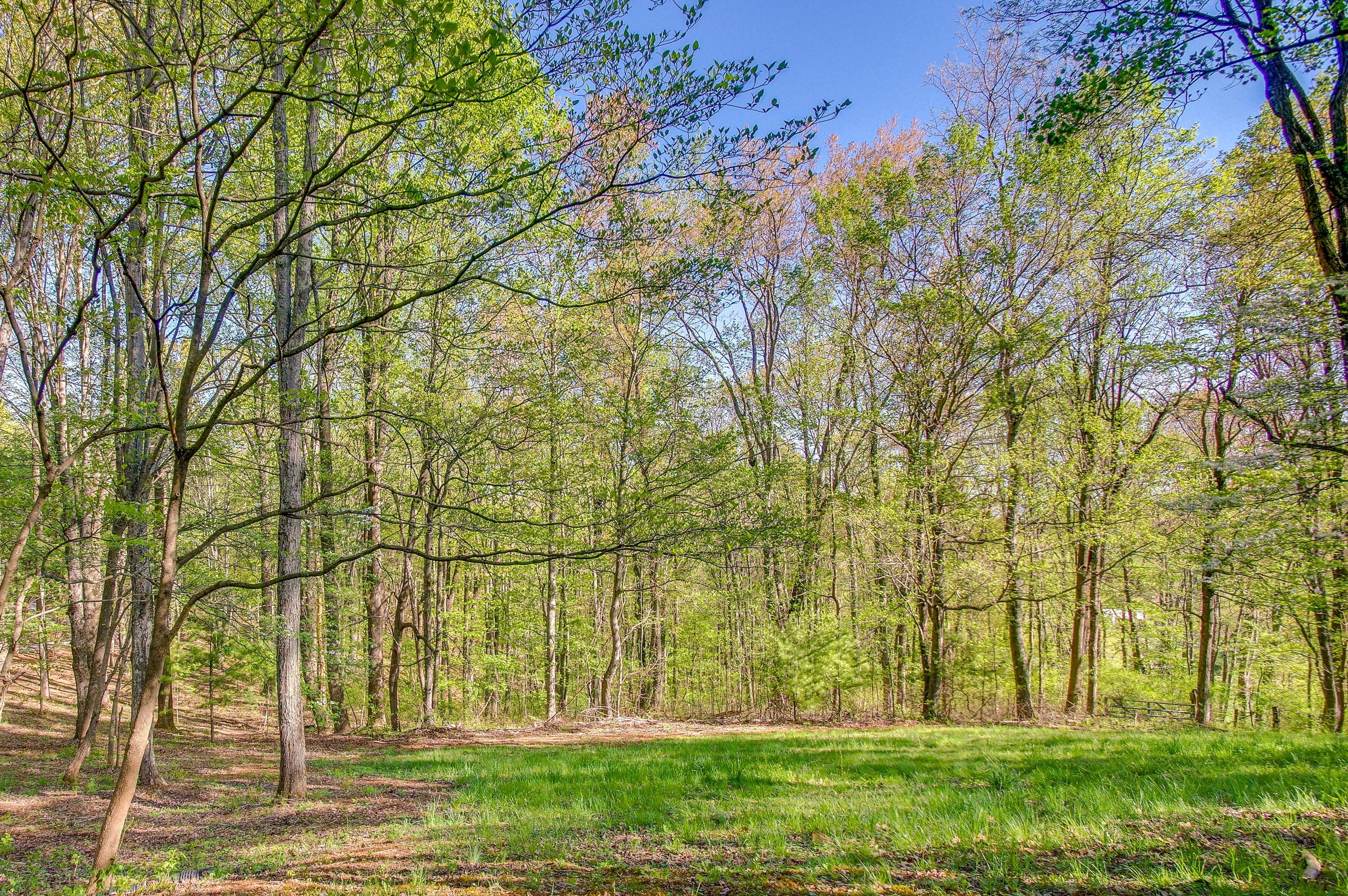 Surrounding Area | 1 Mi to Appalachian Trail Access | Skyline Drive ~ 7 Mi