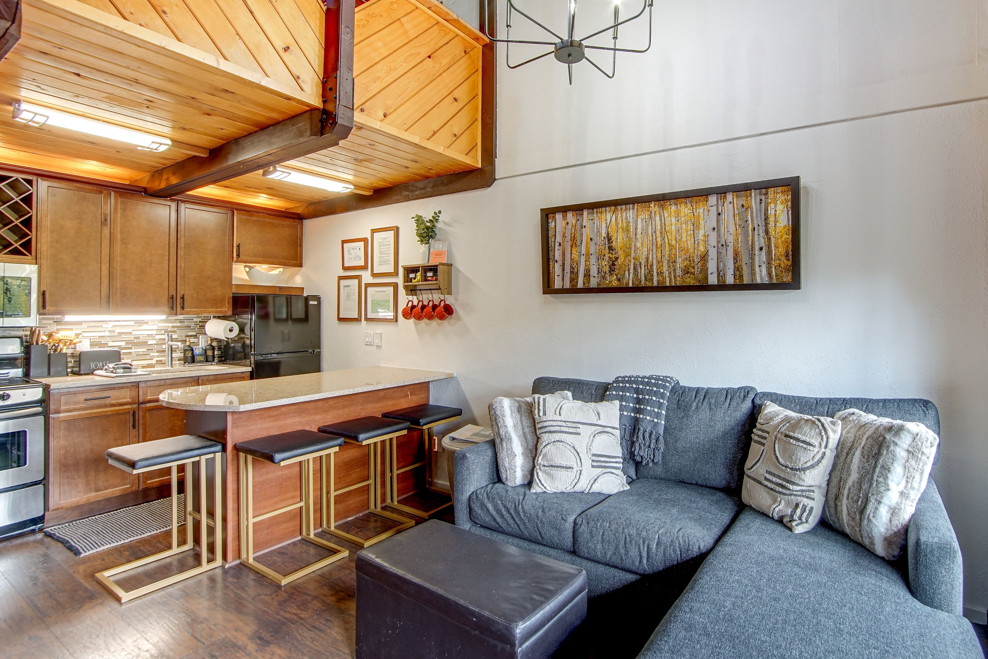 Living Room | Queen Sleeper Sofa | 1st Floor | Central Air Conditioning