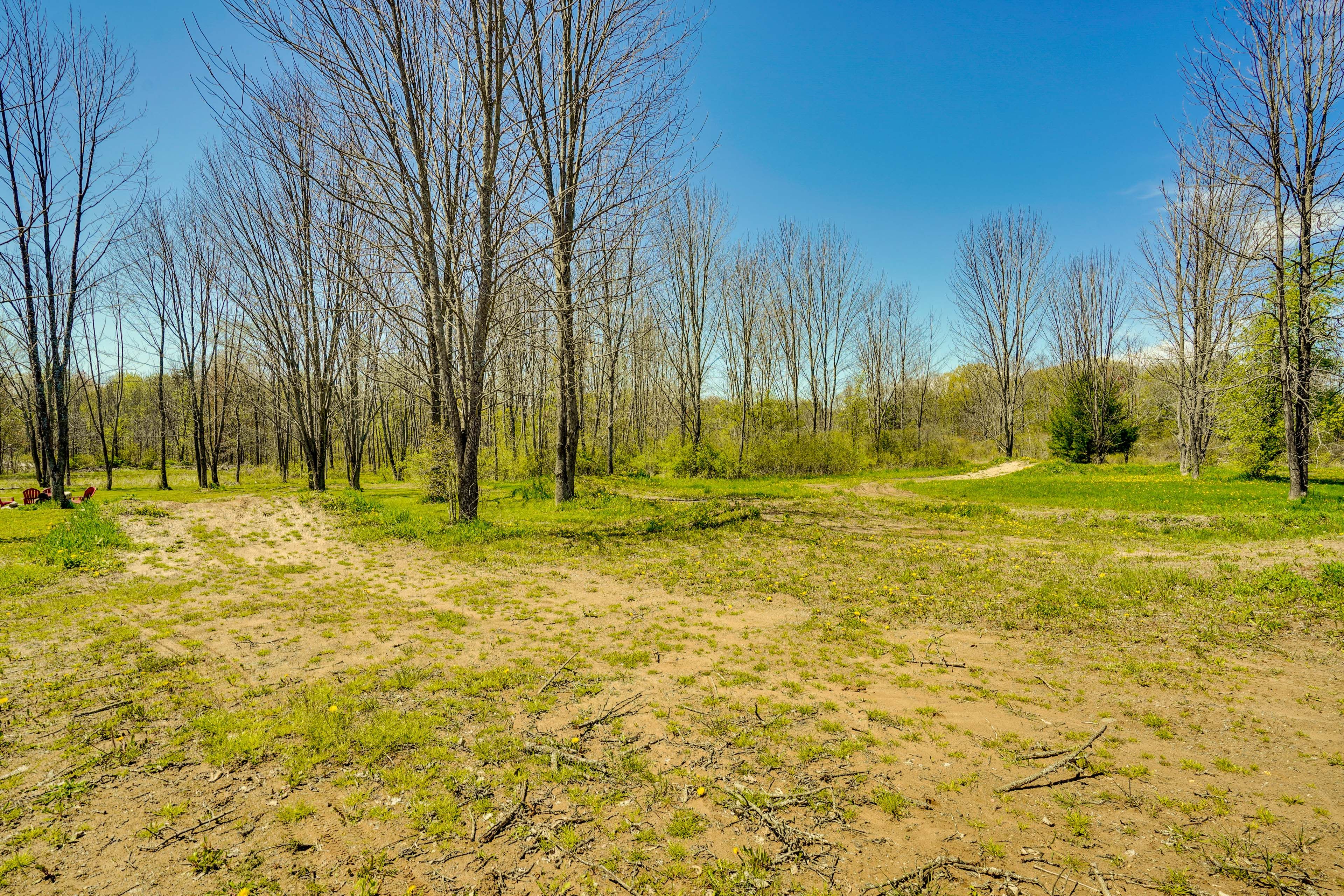 Landscape