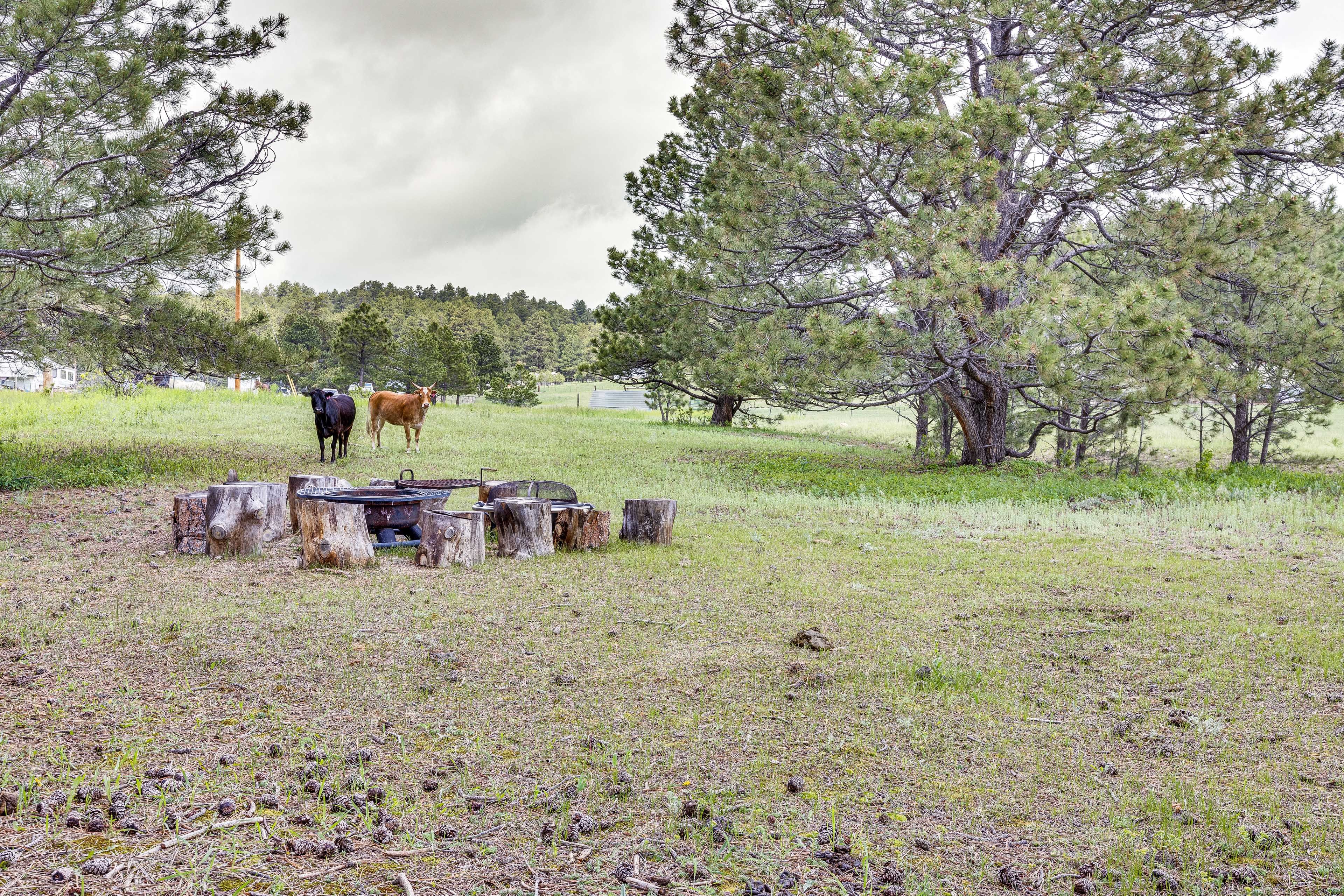 Fire Pit | Camping Area