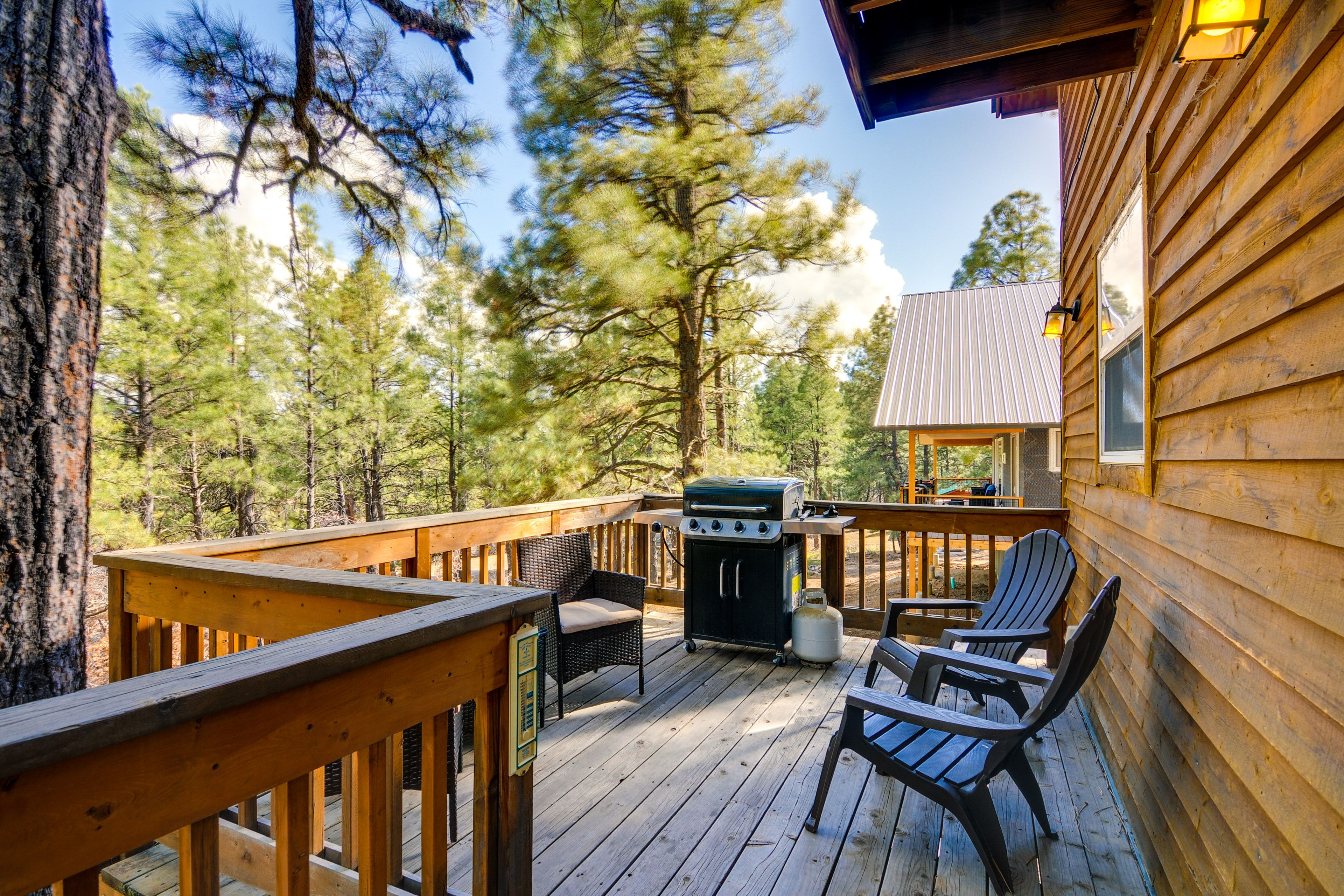 Deck | Gas Grill