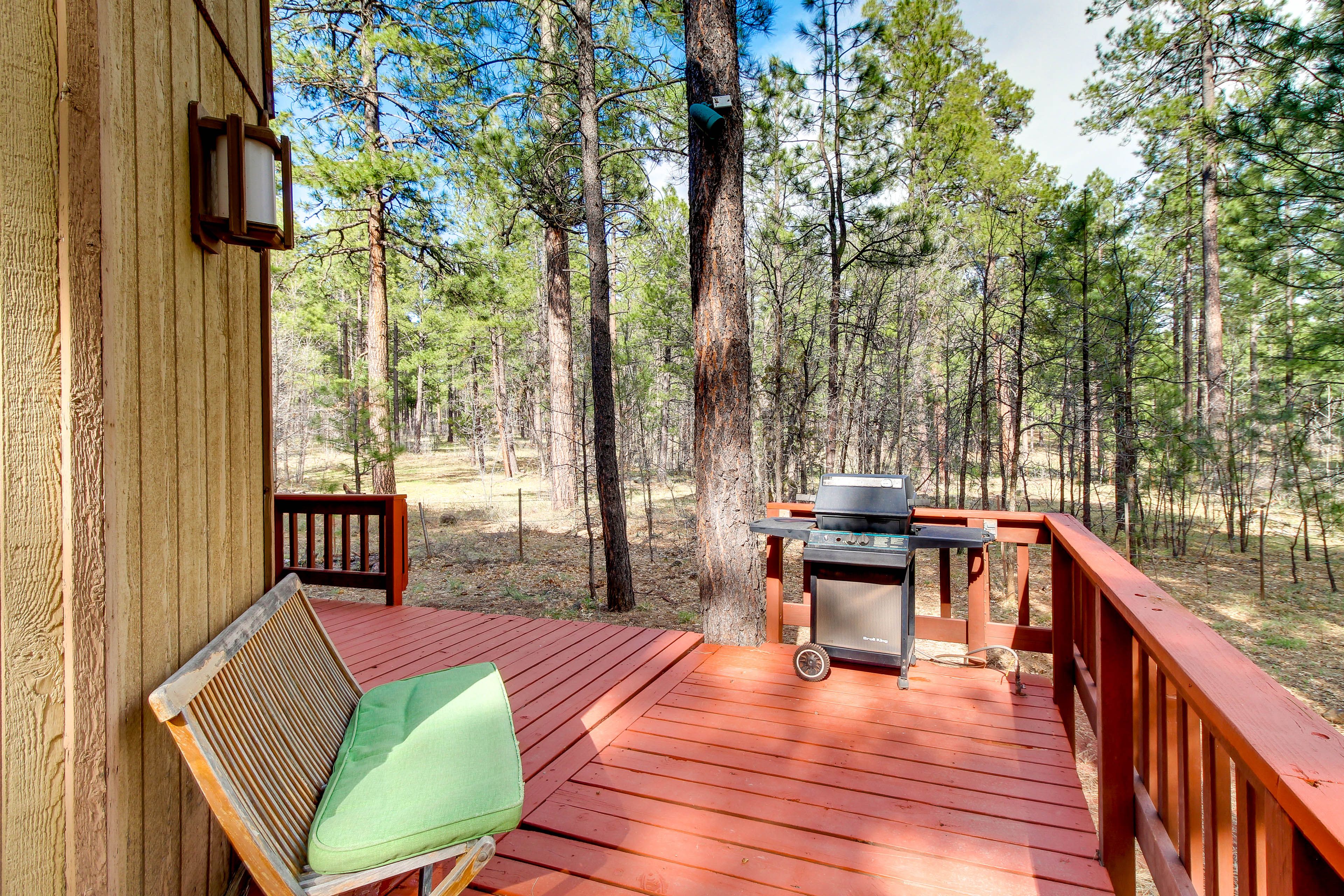 Deck | Outdoor Dining Area | Gas Grill