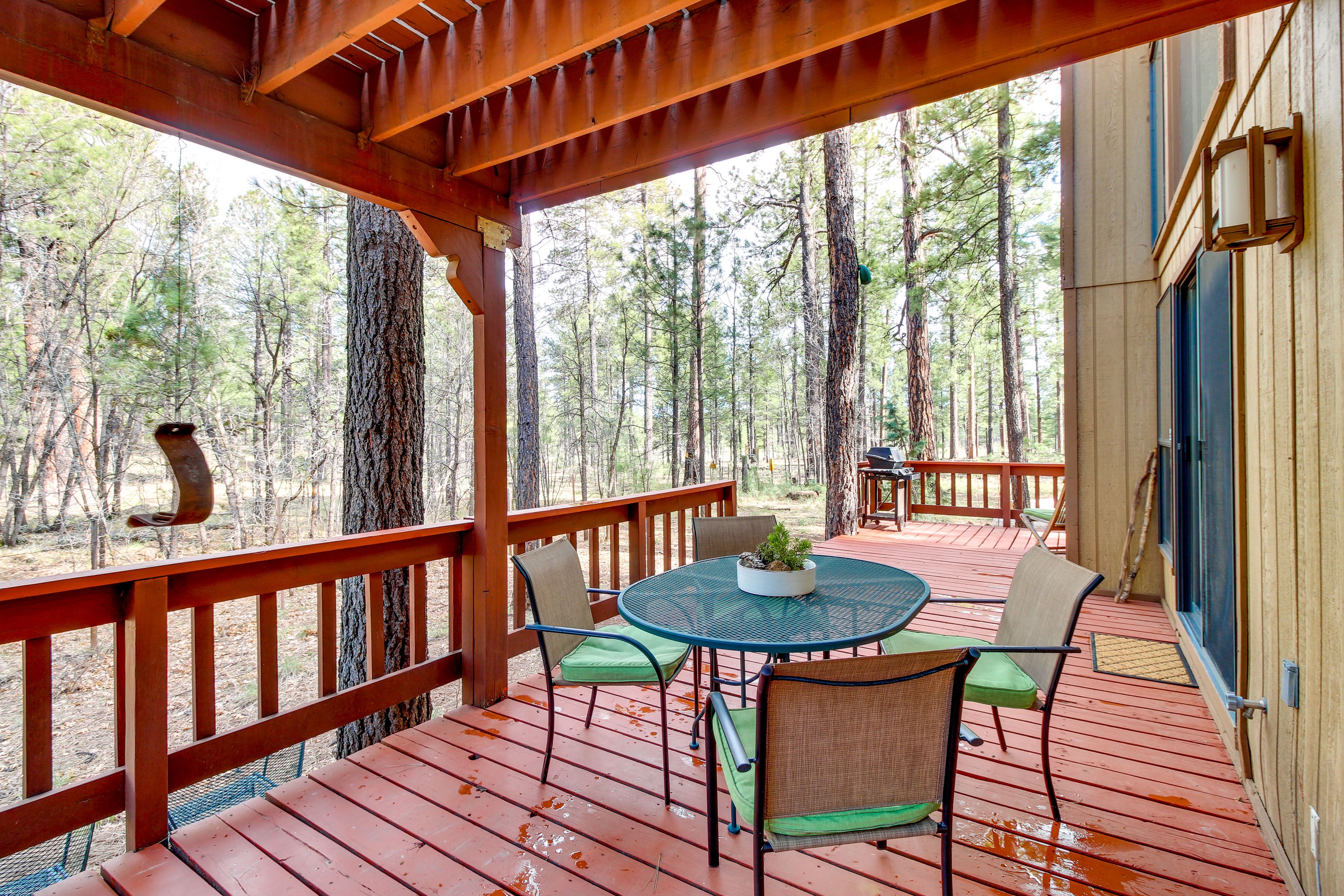 Deck | Gas Grill | Outdoor Dining Area | Hiking On-Site