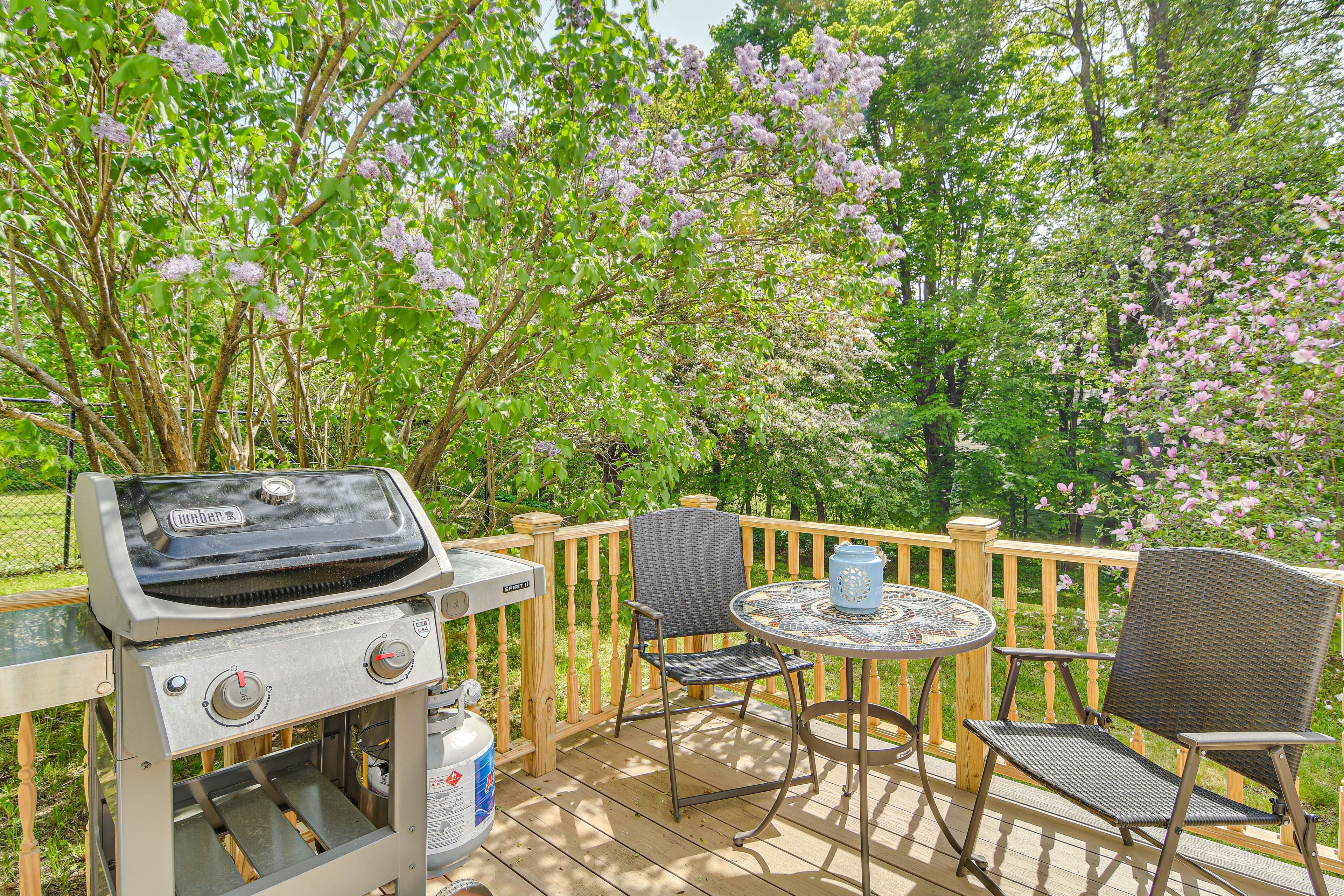 Deck | Gas Grill