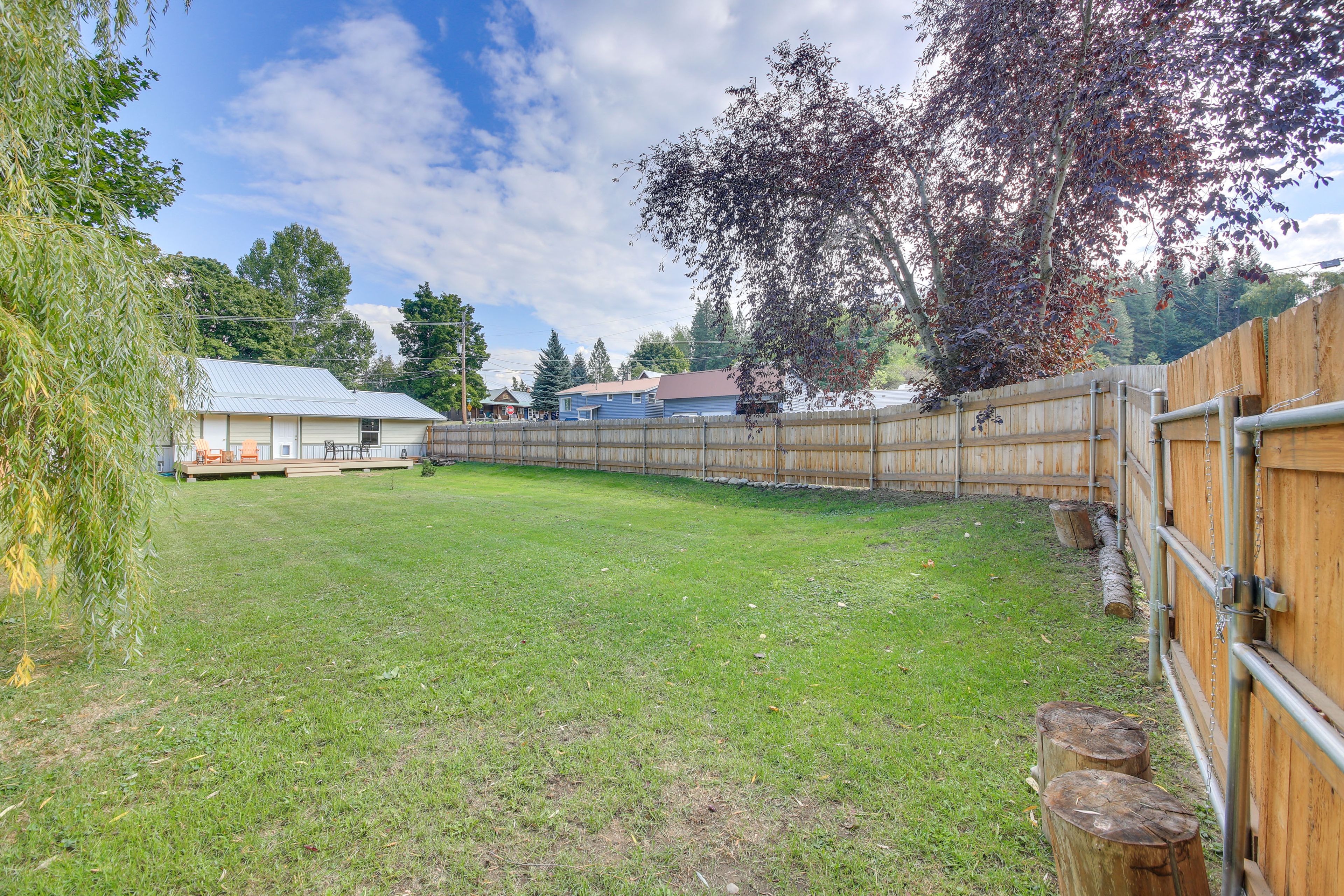 Backyard