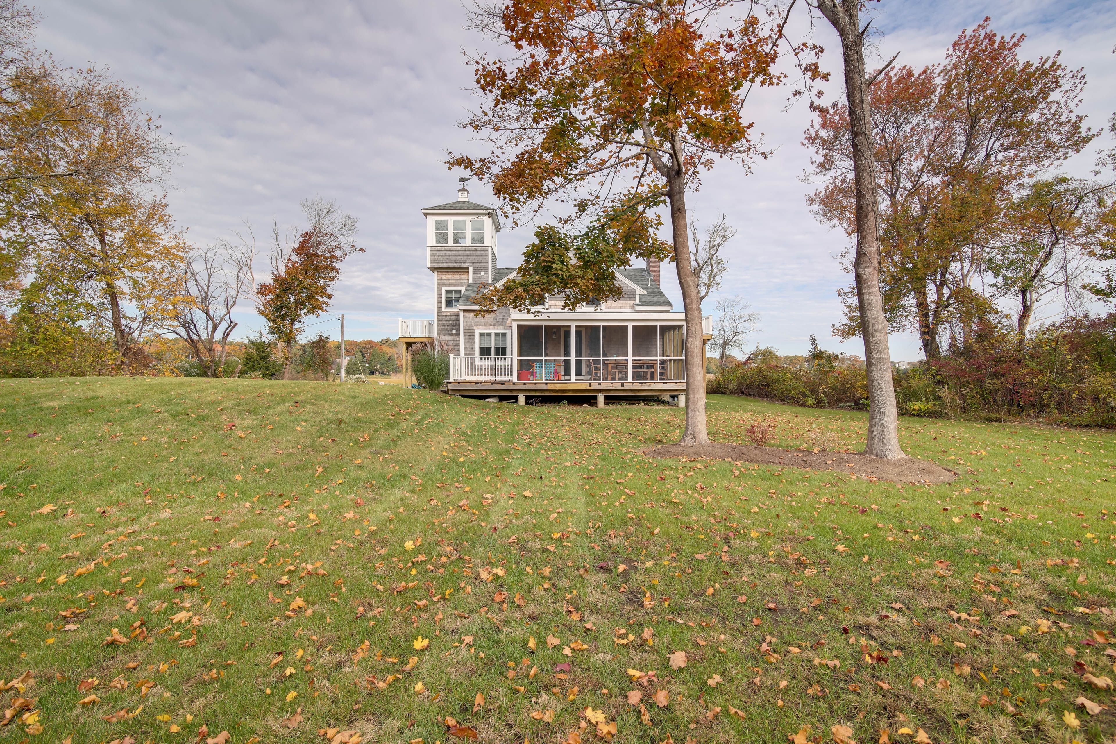 Spacious Yard