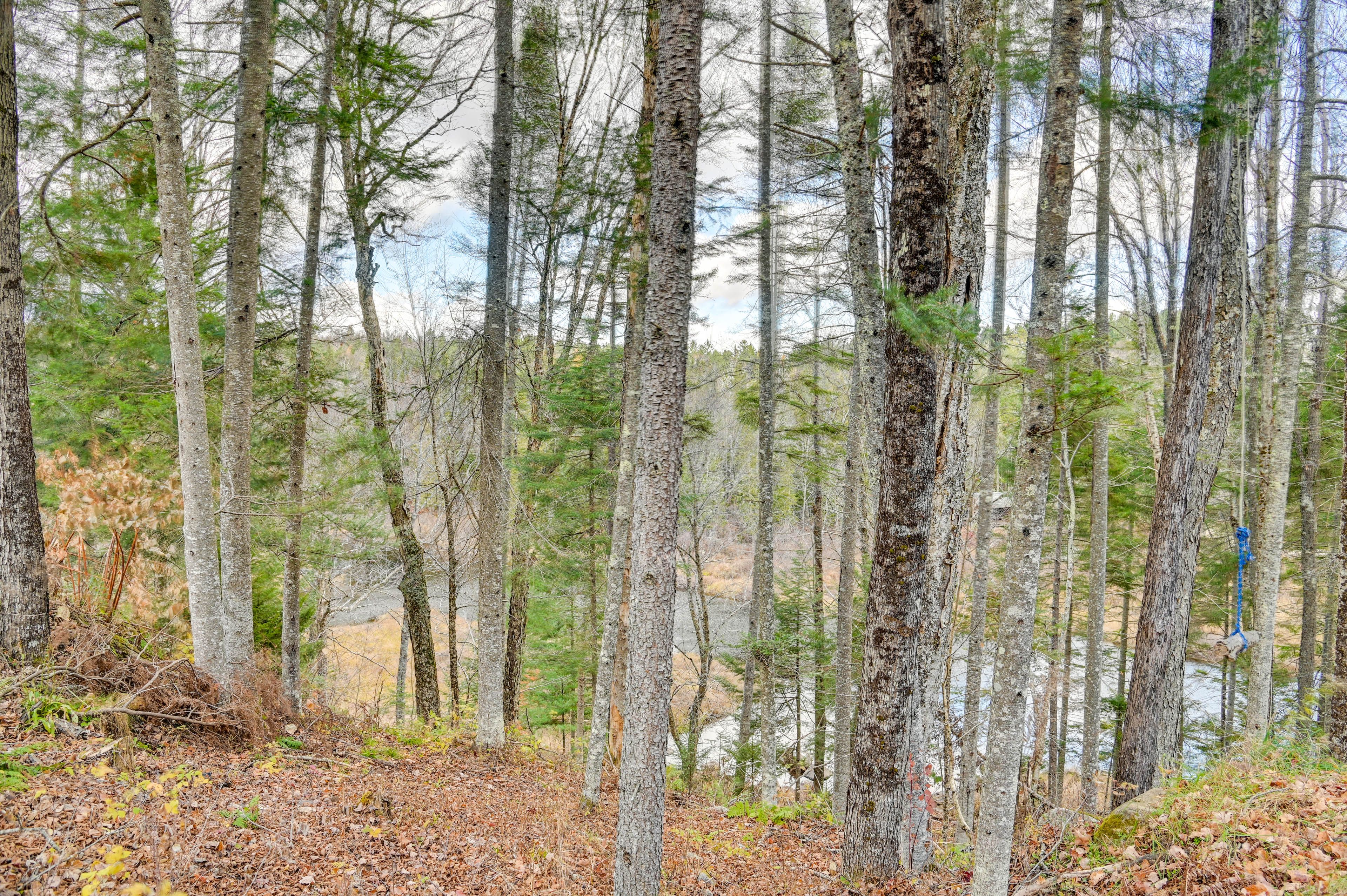 Lake Views | Youth Kayak | Canoe