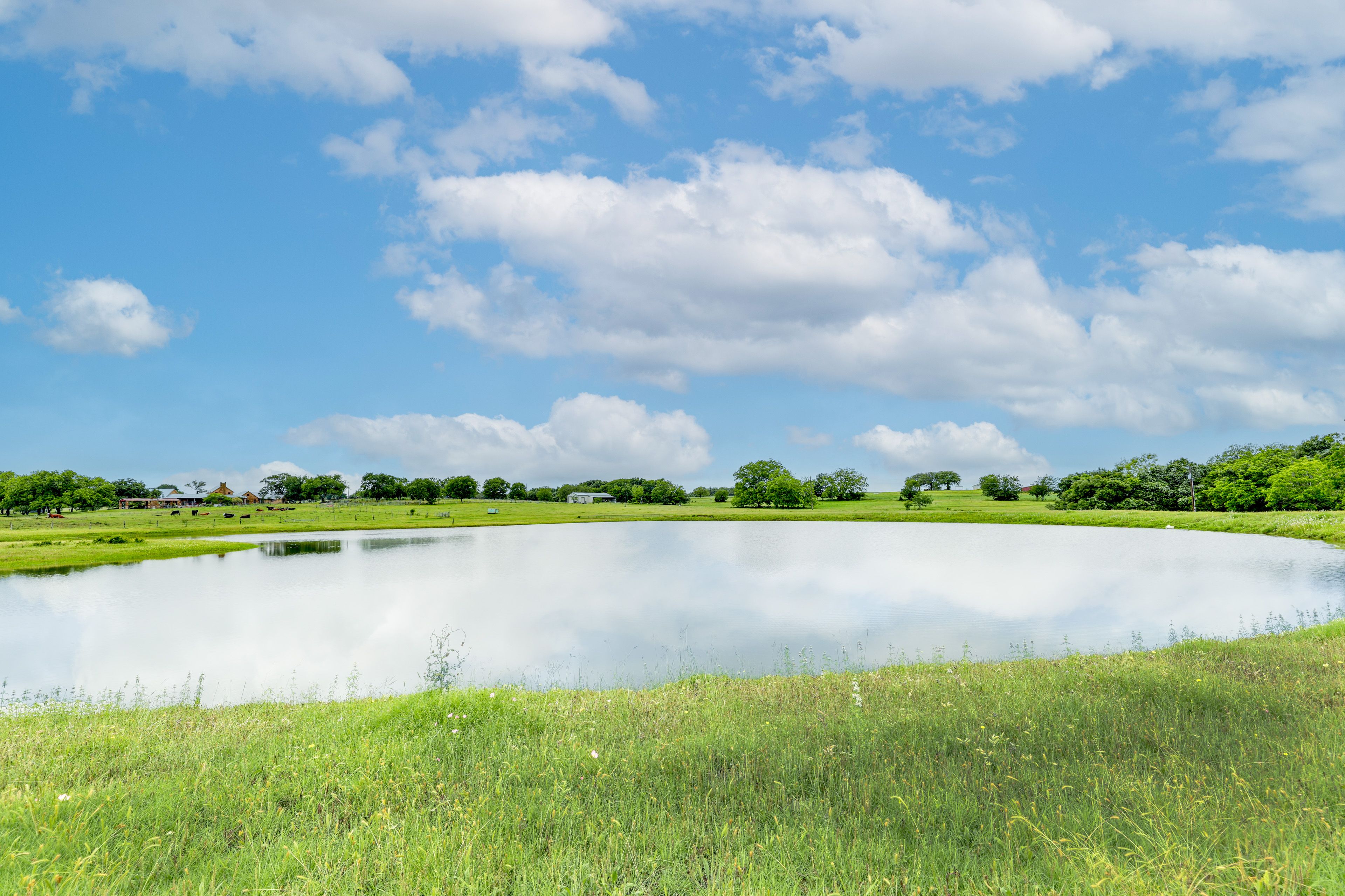 Catch-and-Release Bass Pond