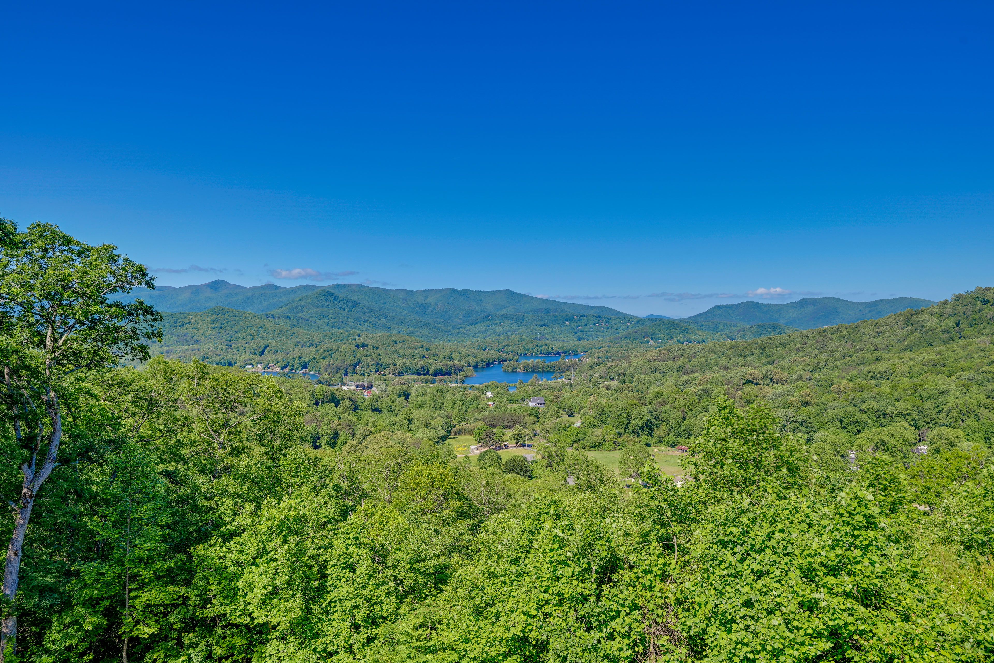View From Deck