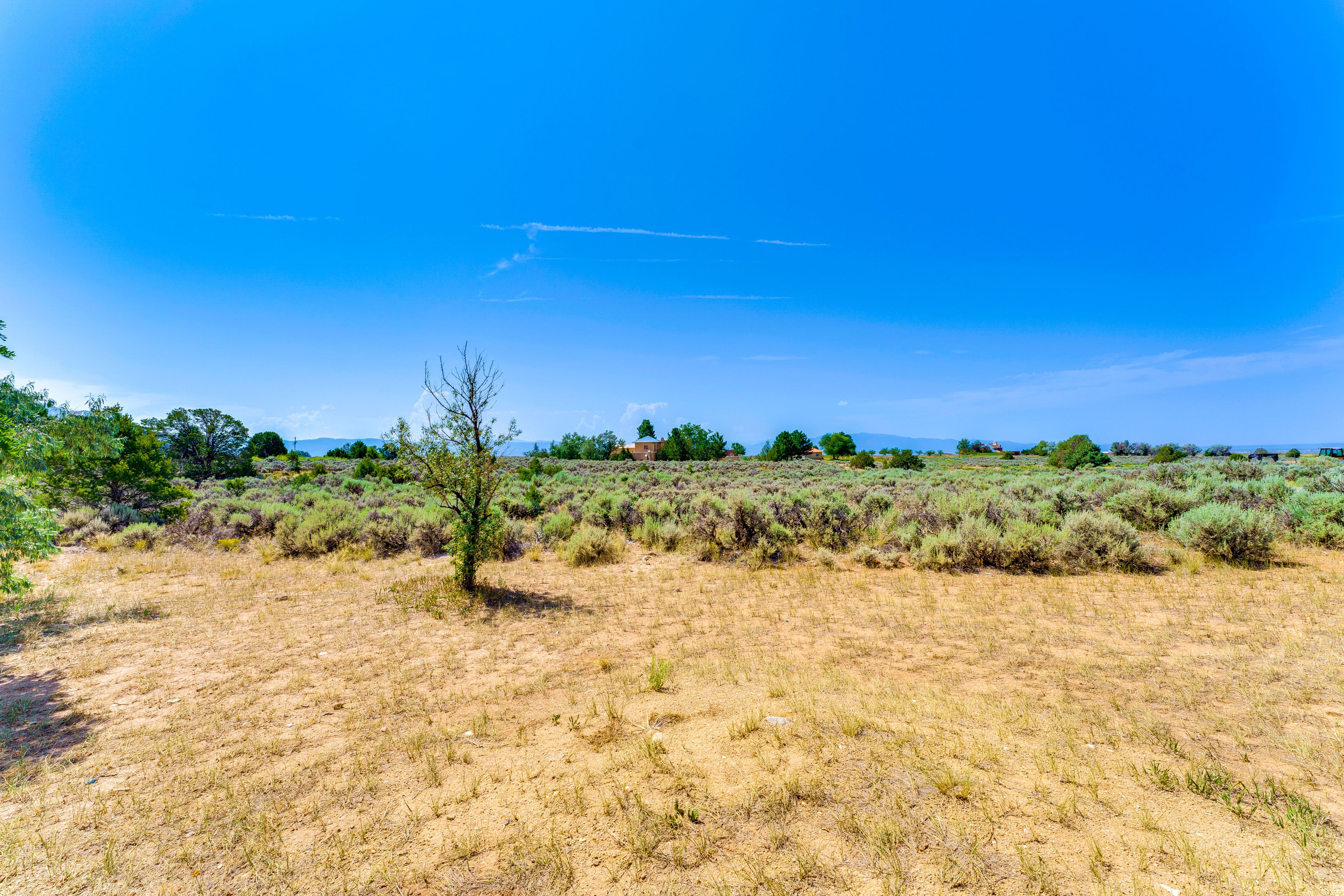 Surrounding Area