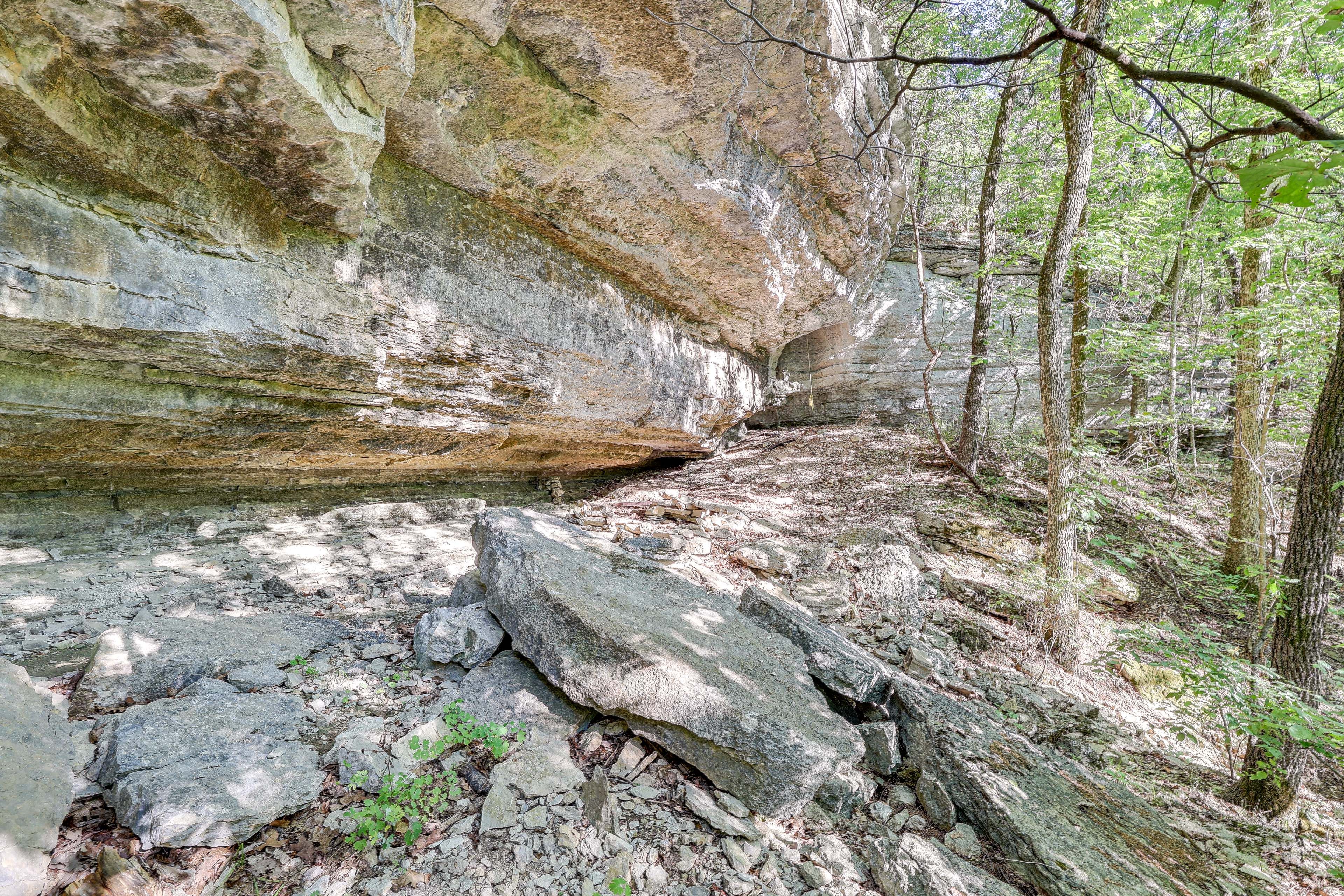 Image 37
