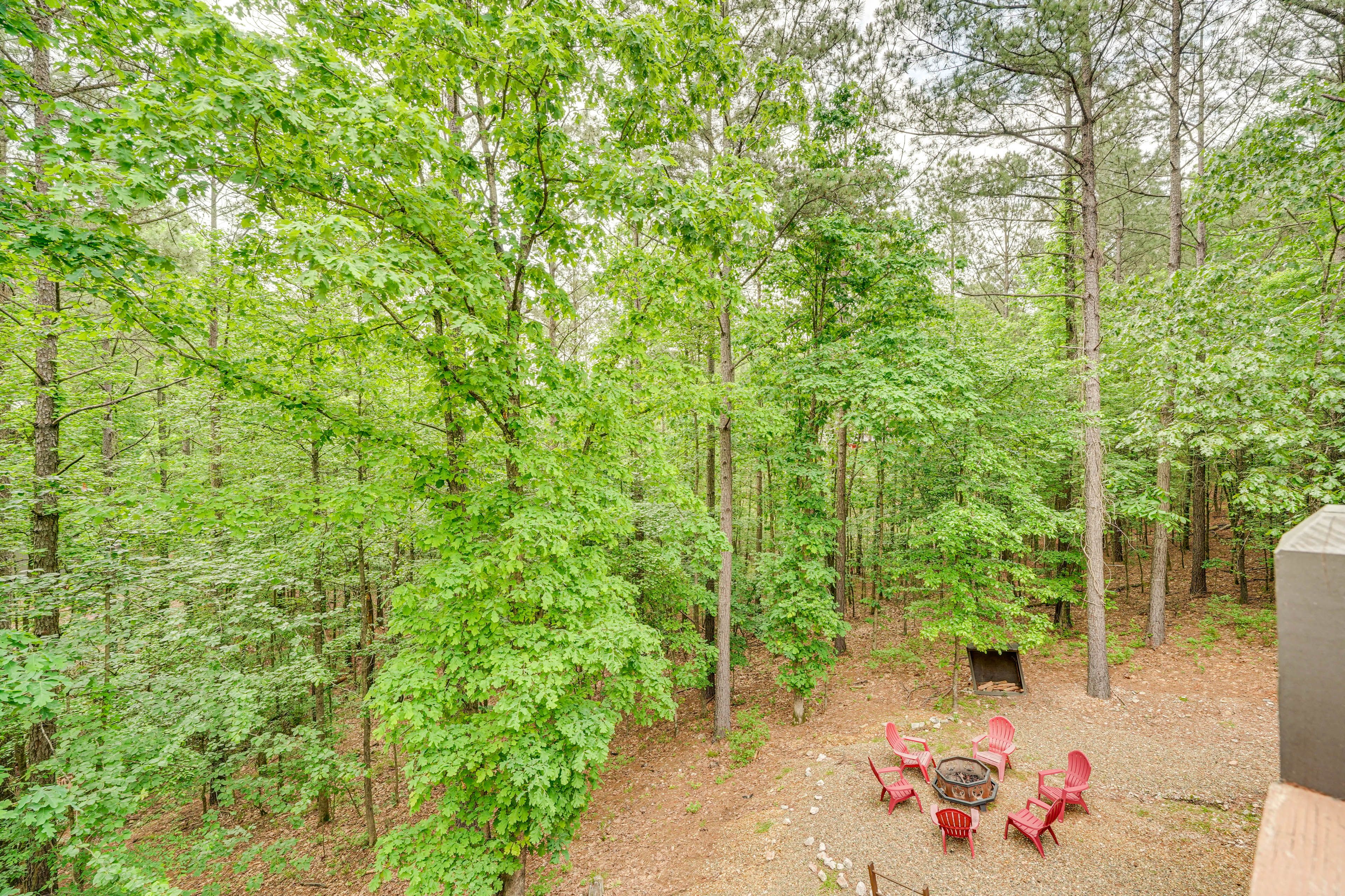 Forest Views